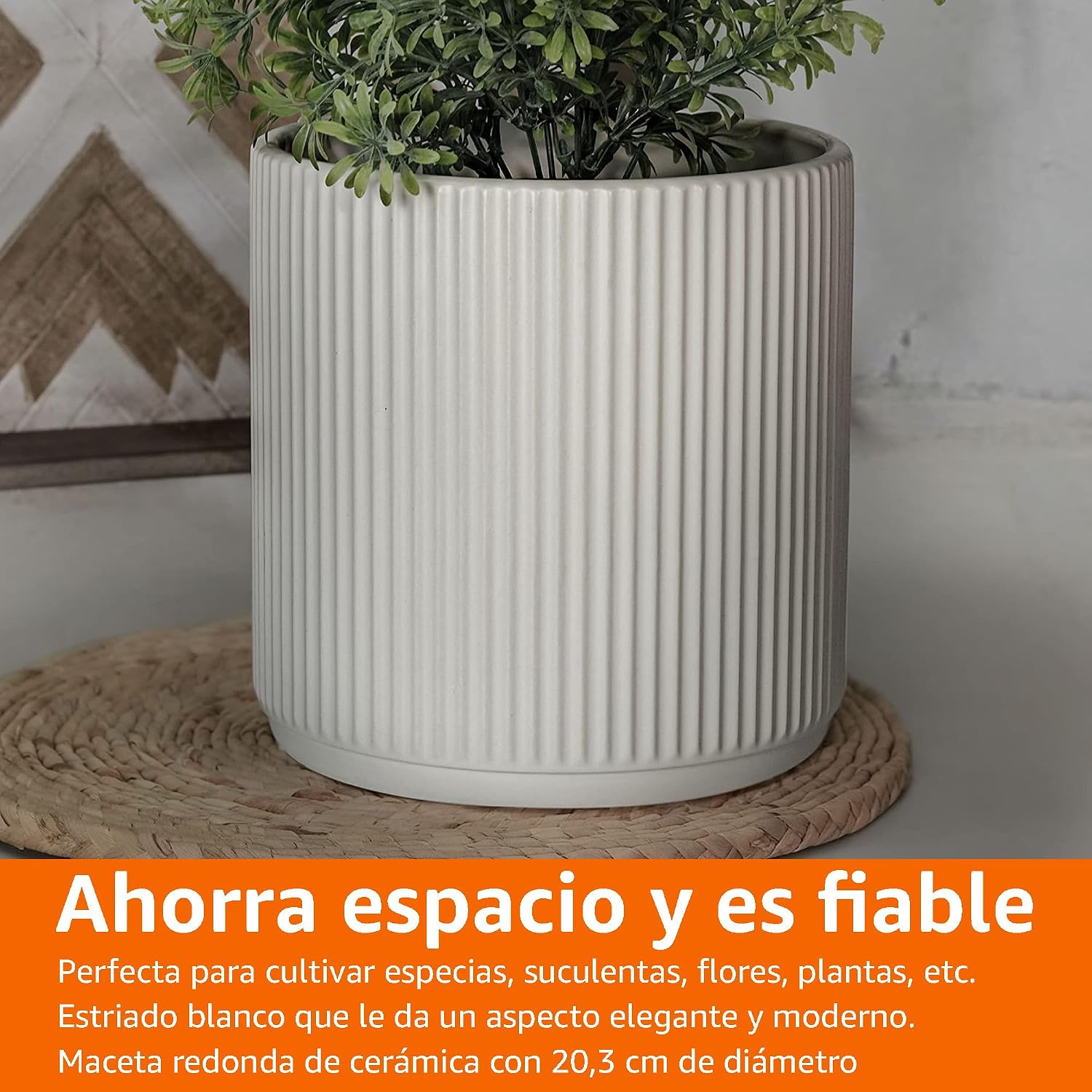Thumbnail 5 de Amazon Basics Maceta de Cerámica Estriada 20.3 cm 🌱