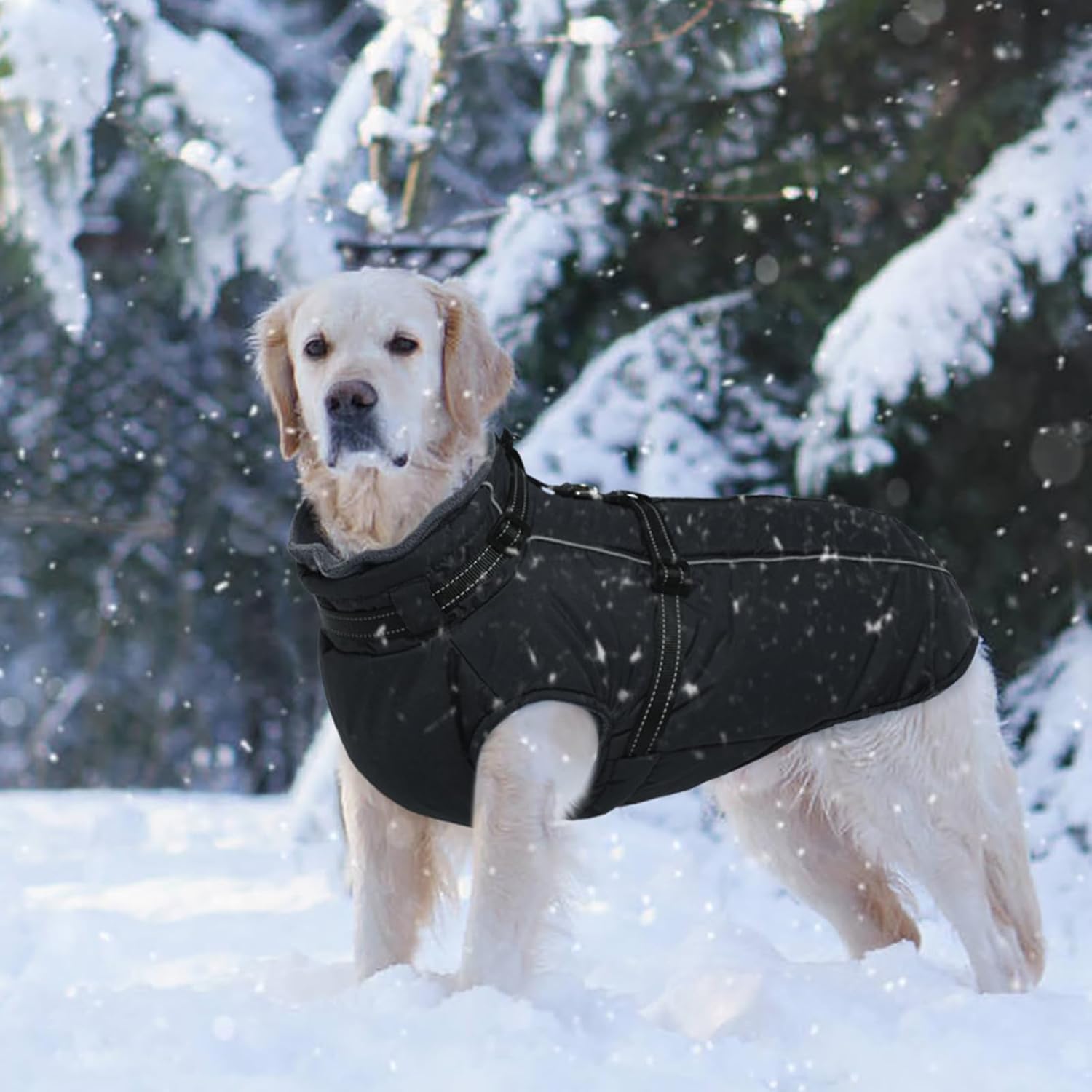 Thumbnail 6 de Lelepet Dog Coat XXXL