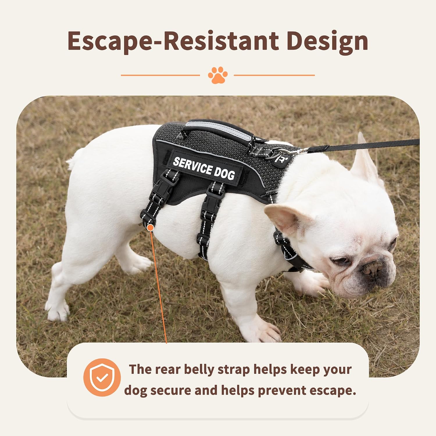 Detalle 2 de Huntboo Dog Harness, M