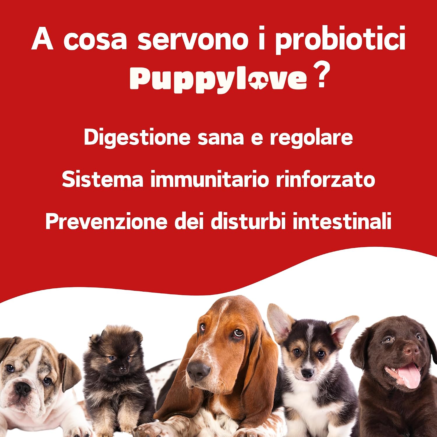 Detalle de Probiotici per Cani - Puppylove Digestion Boost, 100 Compresse Made in Italy