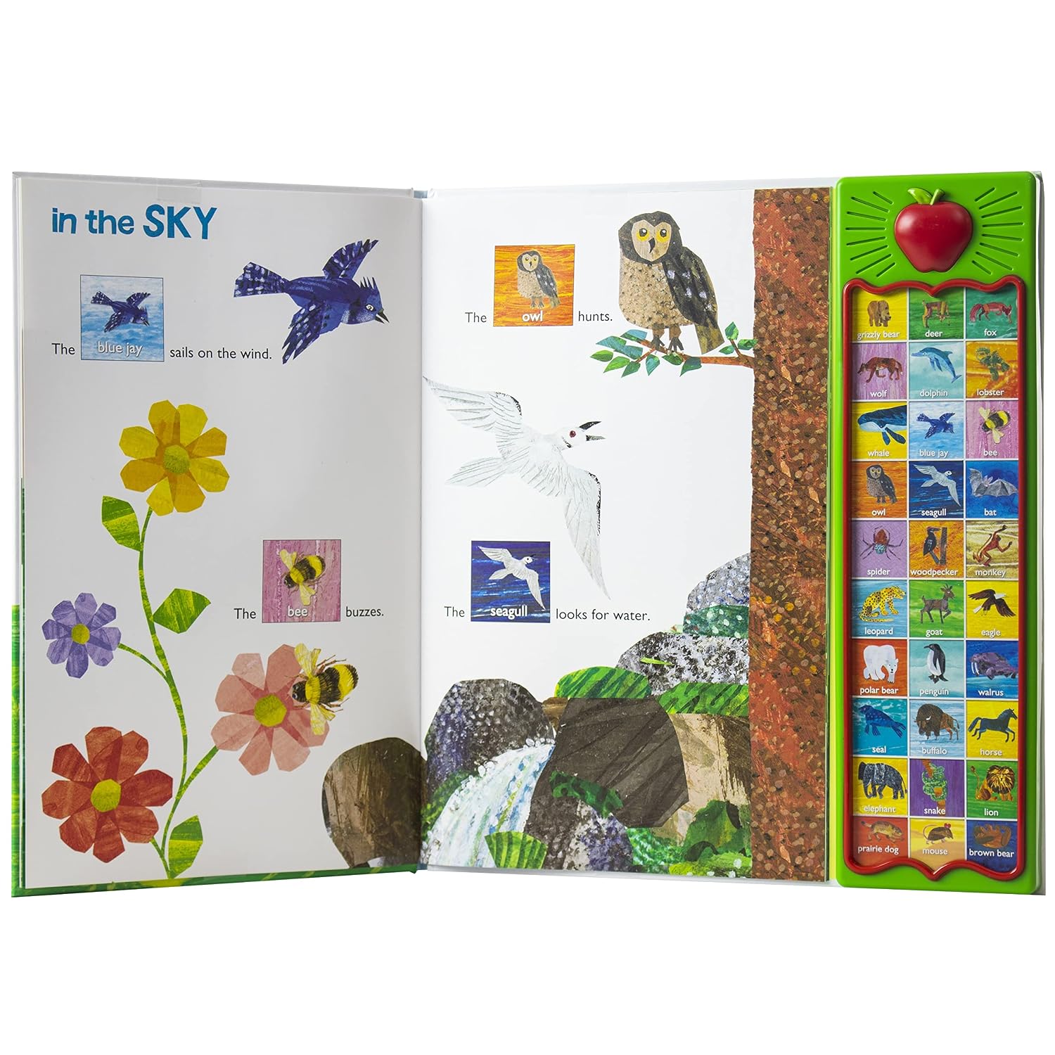 Thumbnail 2 de PI Kids Hear Bear Roar 30-button soundbook