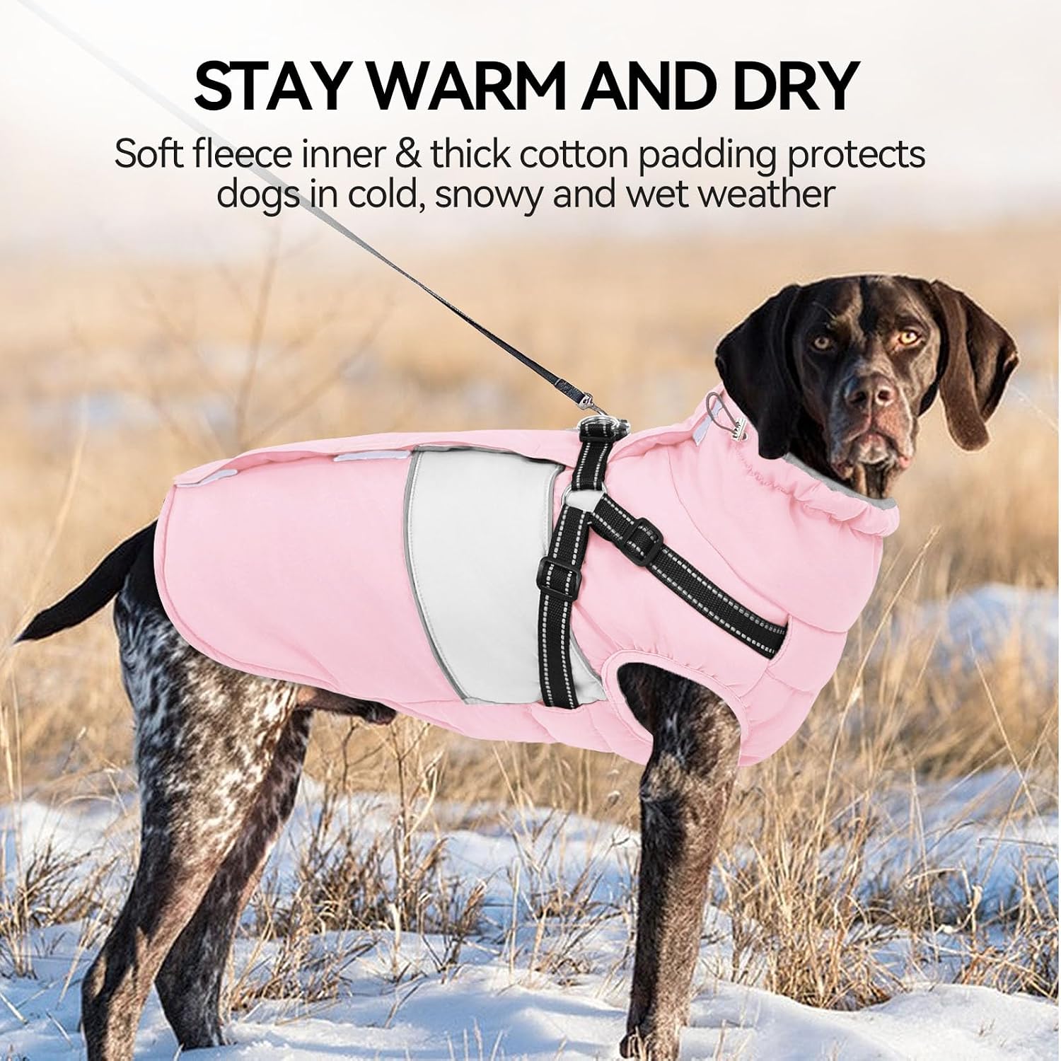 Detalle 2 de SUNFURA dog coat 3XL