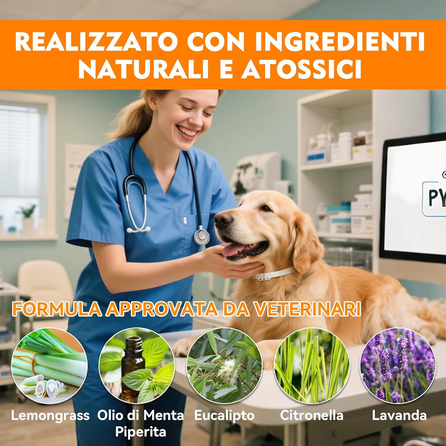 Detalle de Collare antiparassitario per cani Regolabile e Impermeabile – 65 cm, protezione 12 mesi