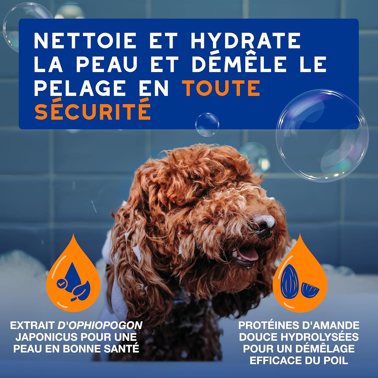 Detalle de DOUXO Skin & Coat Spa – Shampoing 2 en 1 démêlant pour chiens, 250 ML, nettoie et hydrate en profondeur peau et pelage