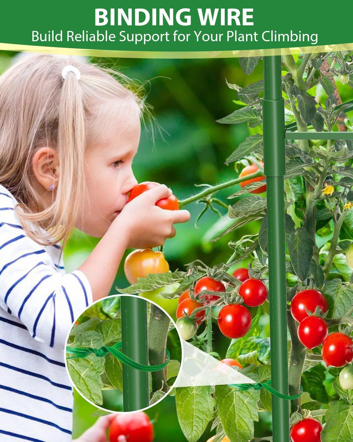 Thumbnail 3 de MYMULIKE 6Pack Tomato Supports 130cm