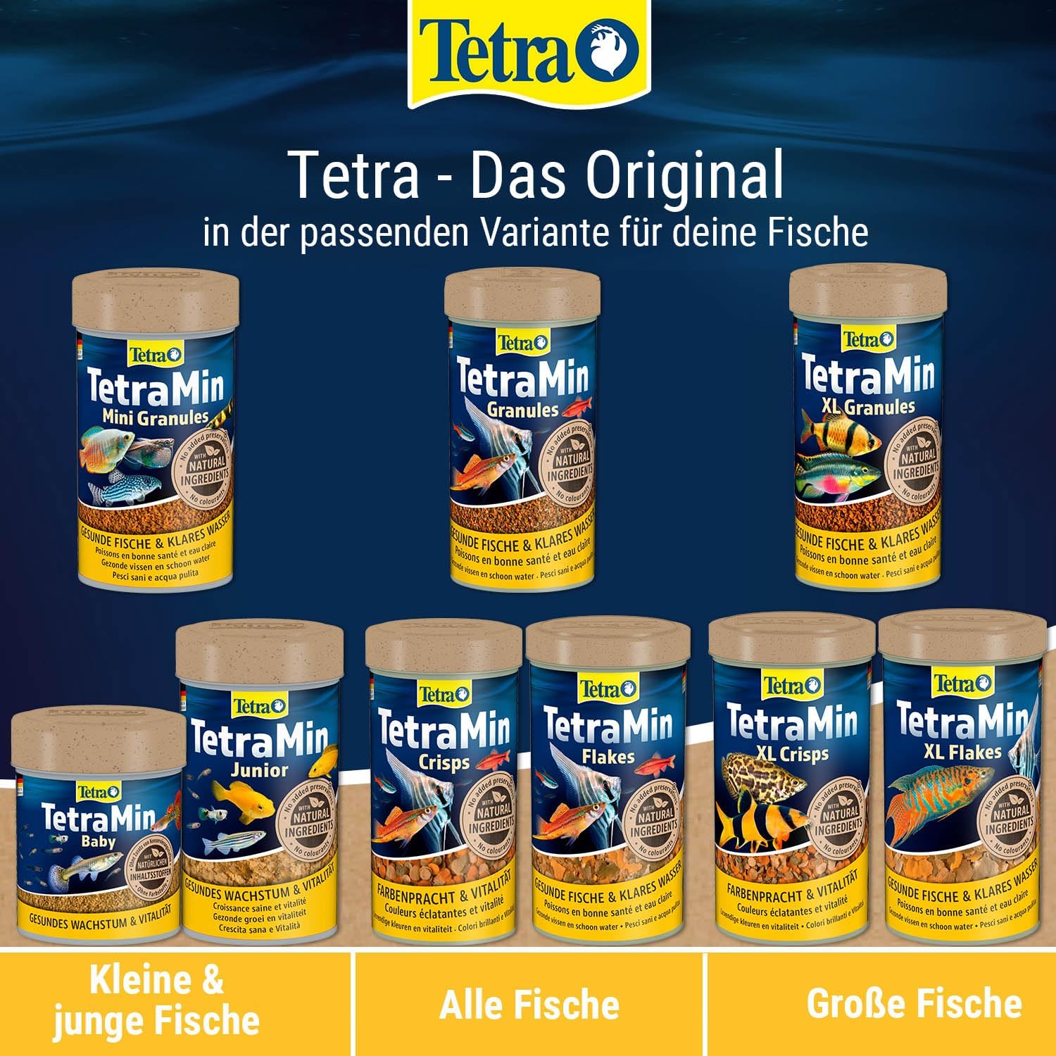 Thumbnail 6 de TetraMin Granules – langsam absinkendes Futter für Fische in der mittleren Wasserschicht, 1 L Dose