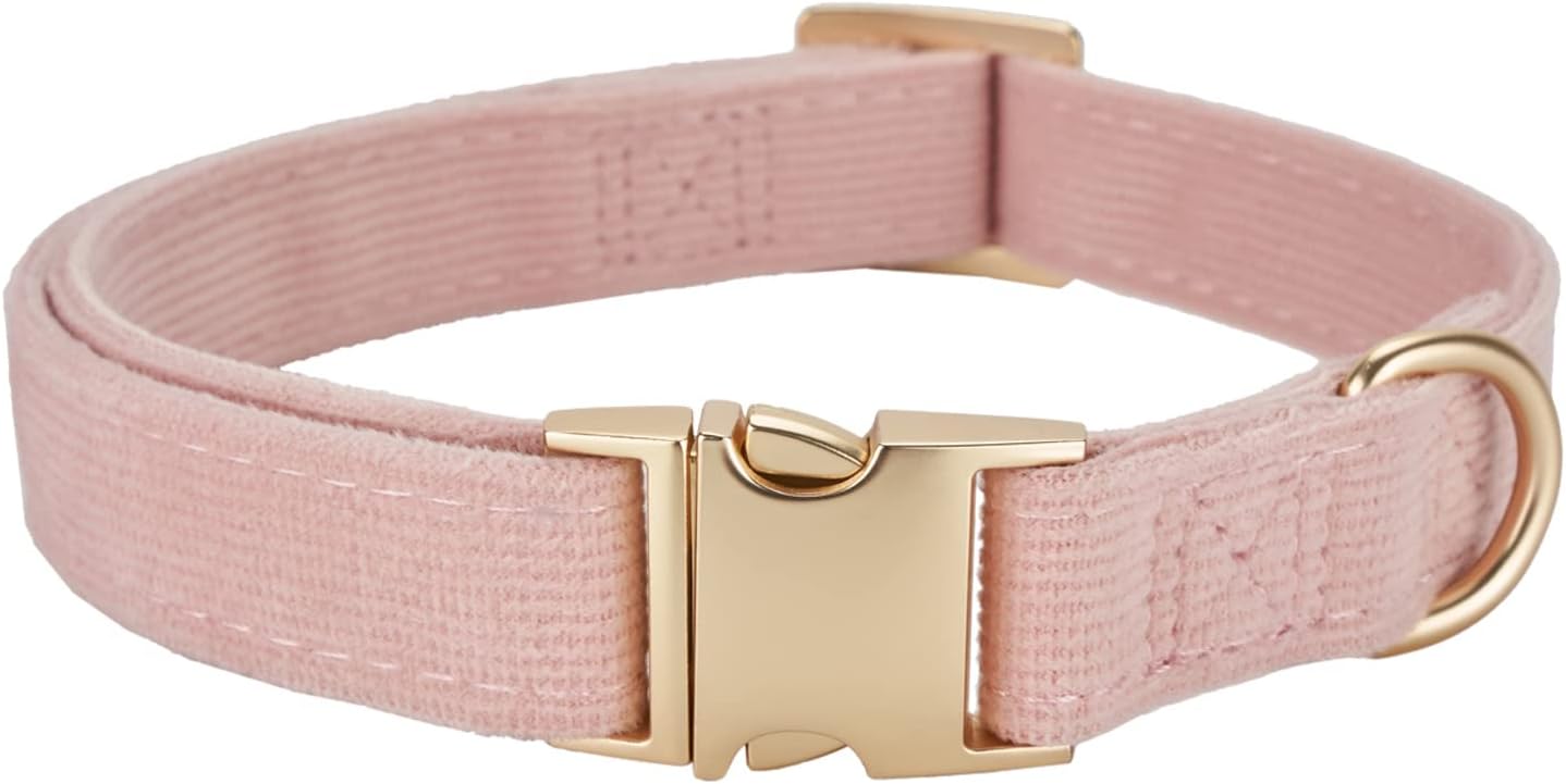 Thumbnail 6 de YUDOTE Ultra-soft dog collar in natural cotton corduroy (small) – bottle green