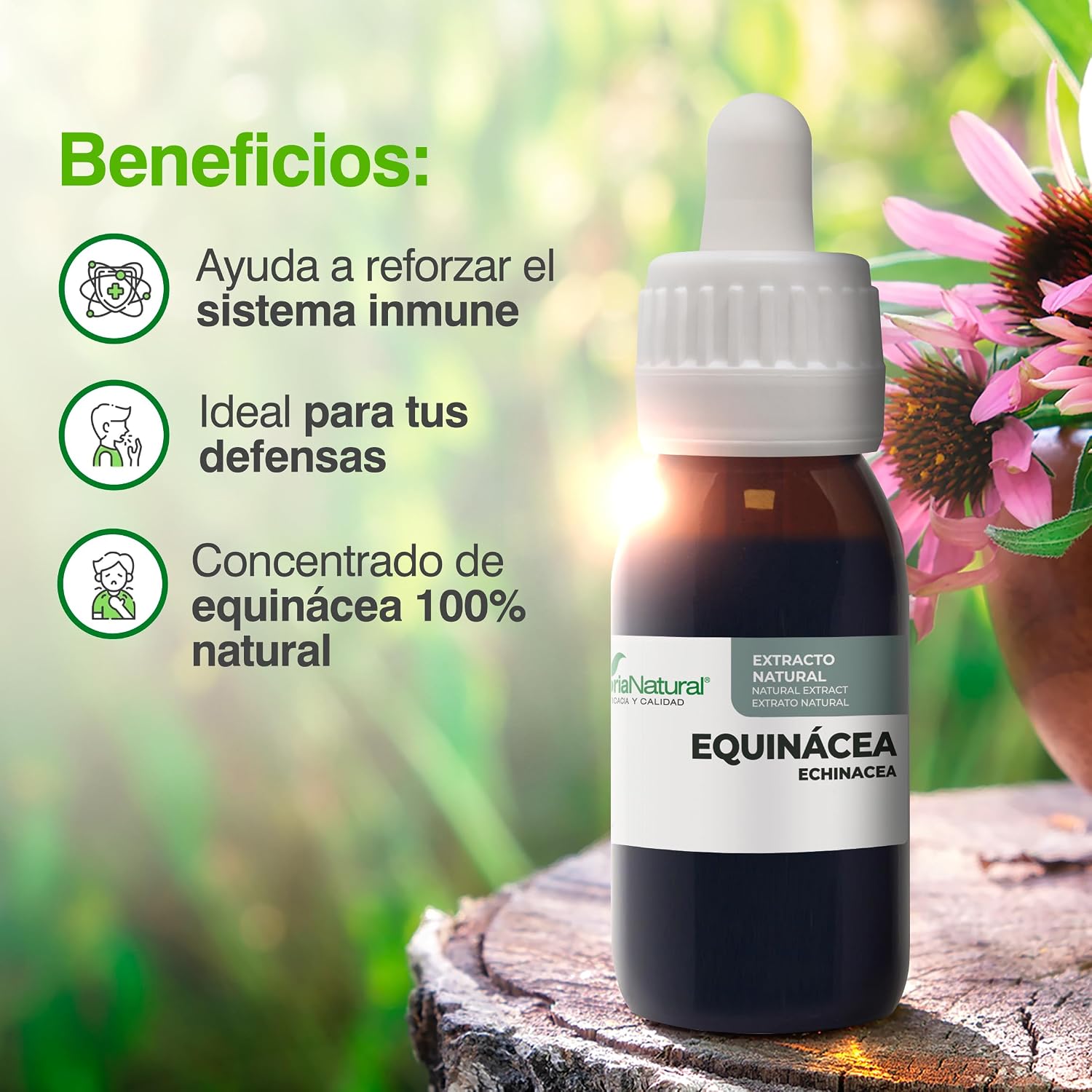 Thumbnail 3 de Soria Natural Extracto de Equinácea 50 ml