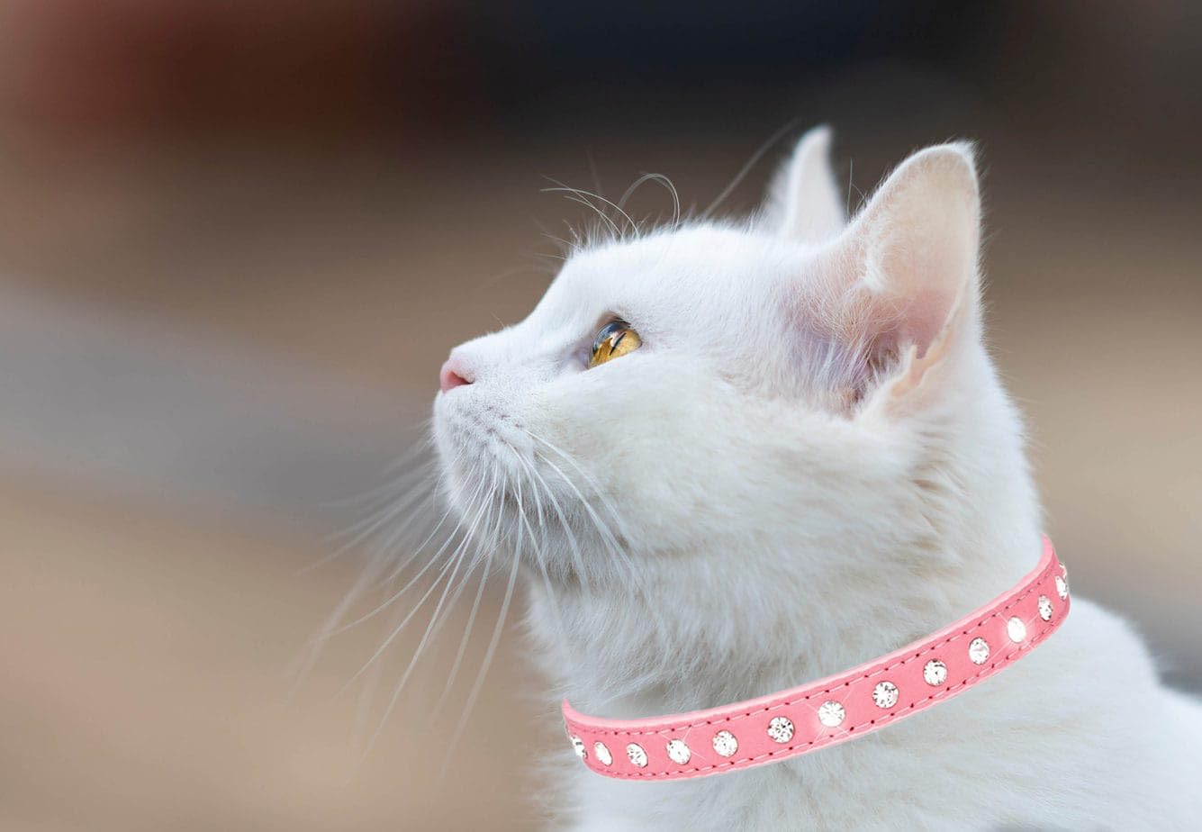 Detalle 2 de Hotlion rhinestone dog collar S red