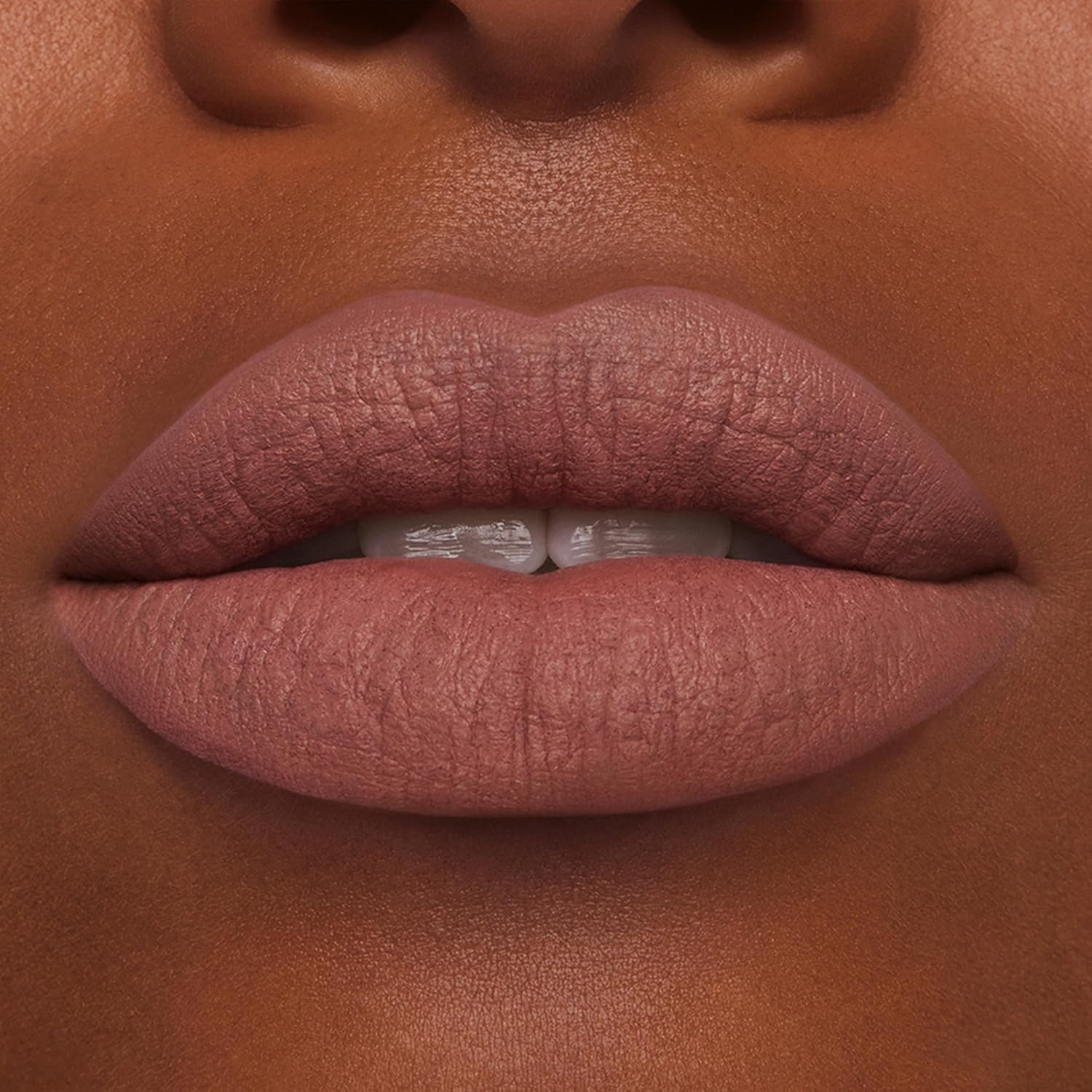 Detalle de Estée Lauder Pure Color Long-Lasting Matte Lipstick (Matte Finish) with Plumping & Nourishing