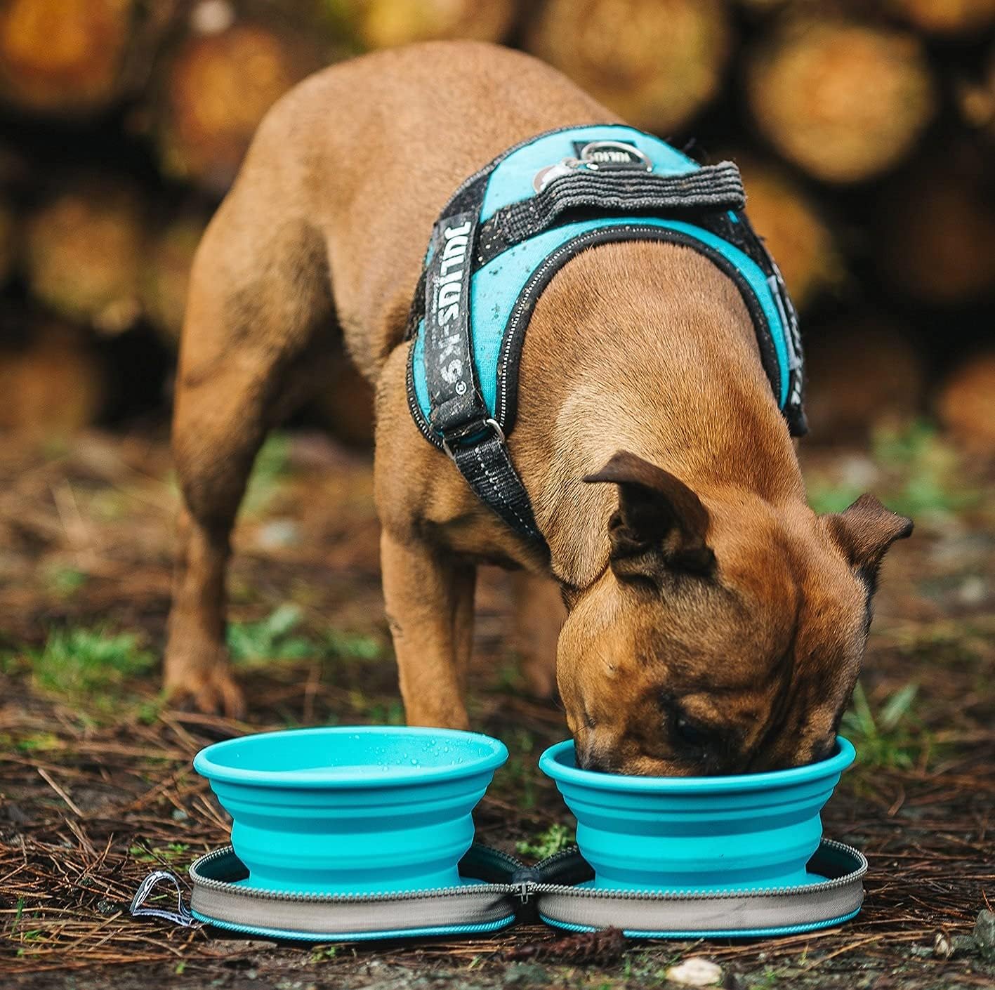 Detalle de Colapz Collapsible Dog Bowls with Travel Case – Foldable Silicone Bowls for Travel, Camping and Hiking (Charcoal Grey)