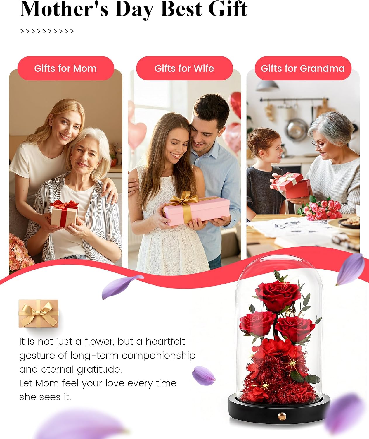 Thumbnail 6 de Agrul Valentines Day Flowers Forever Preserved Roses 2–3 yrs 🌹