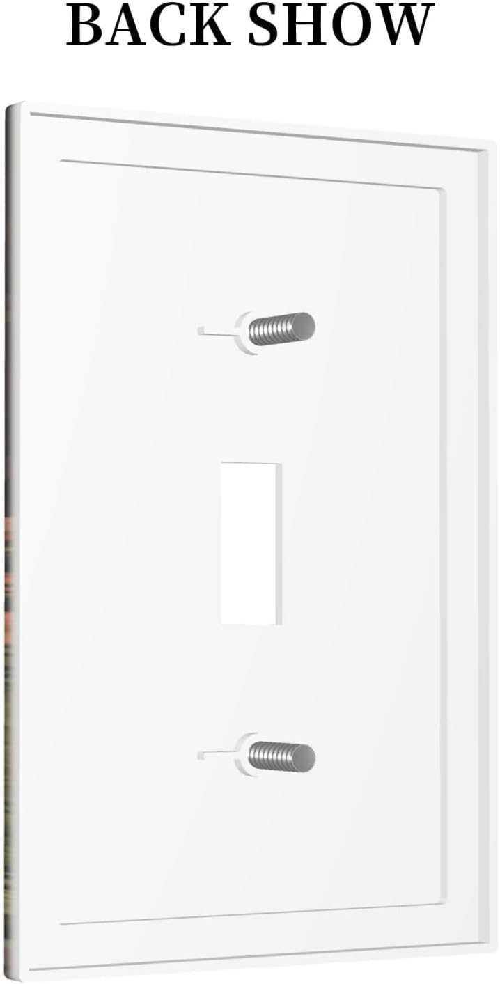 Detalle de Sghxwp Toggle Light Switch Plate, 1-Gang