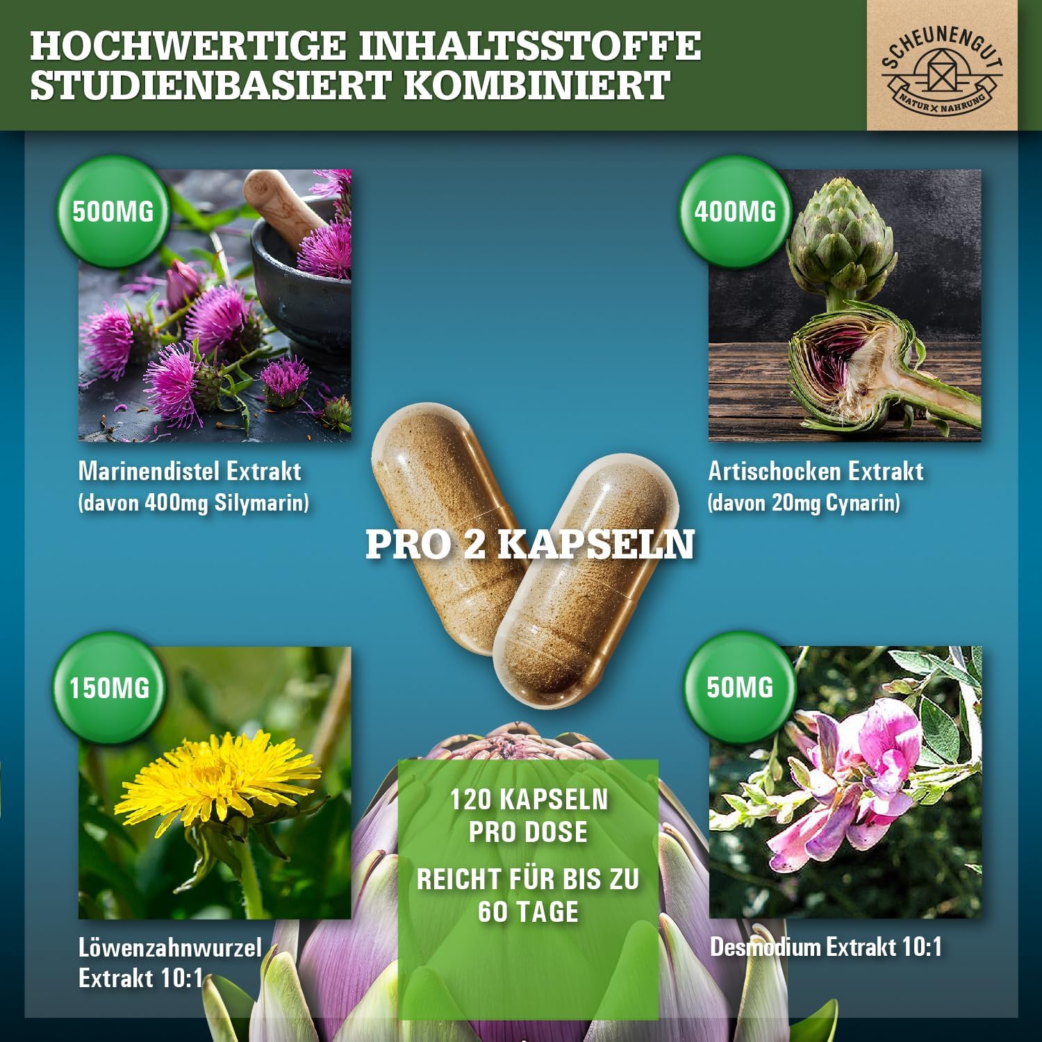 Detalle 2 de LEBER INTENSOÂź Leber Kapseln Hochdosiert 2 Monate đ