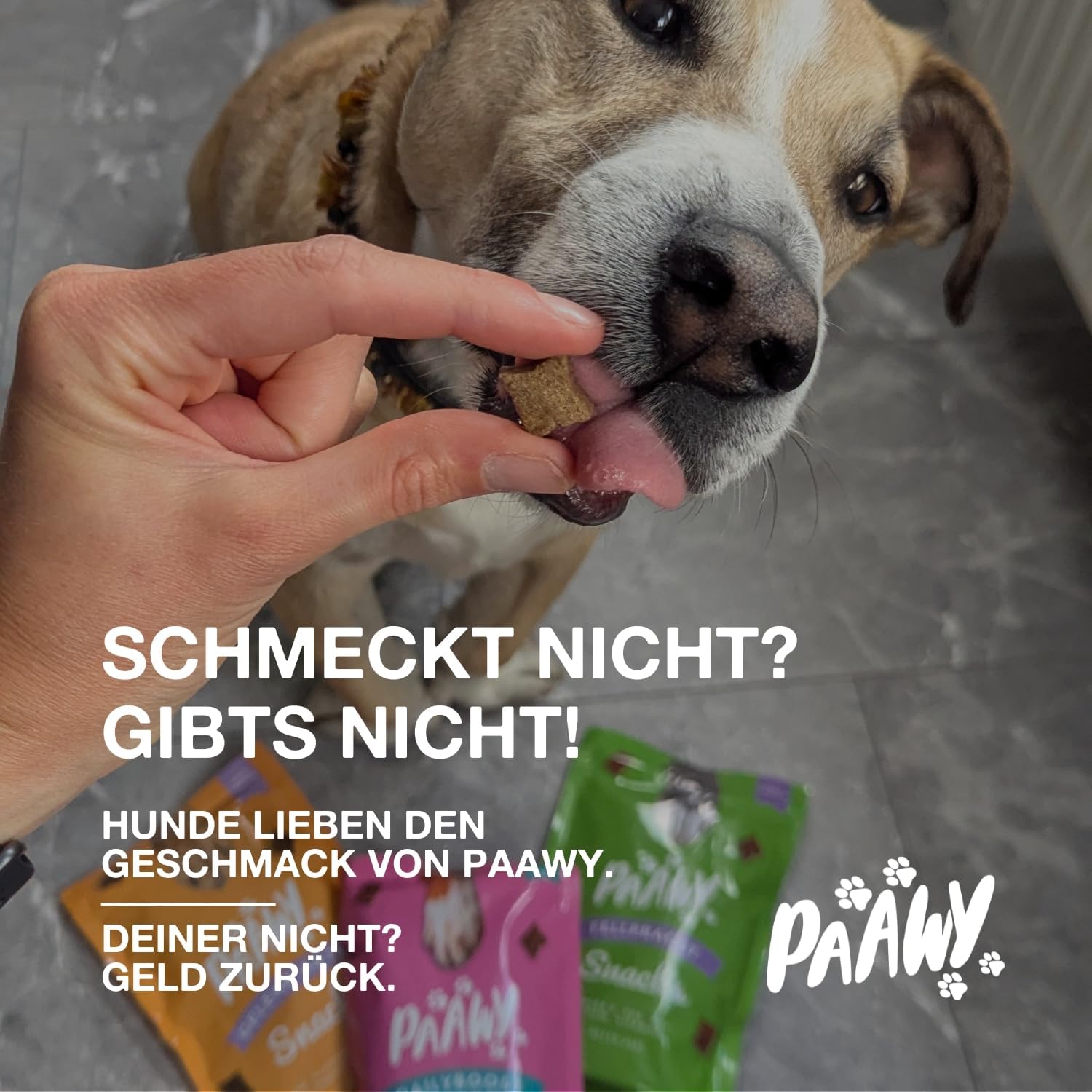 Thumbnail 6 de Paawy Gelenktabletten für Hunde (180 Stück) mit Grünlippmuschel, MSM, Glucosamin & Chondroitin