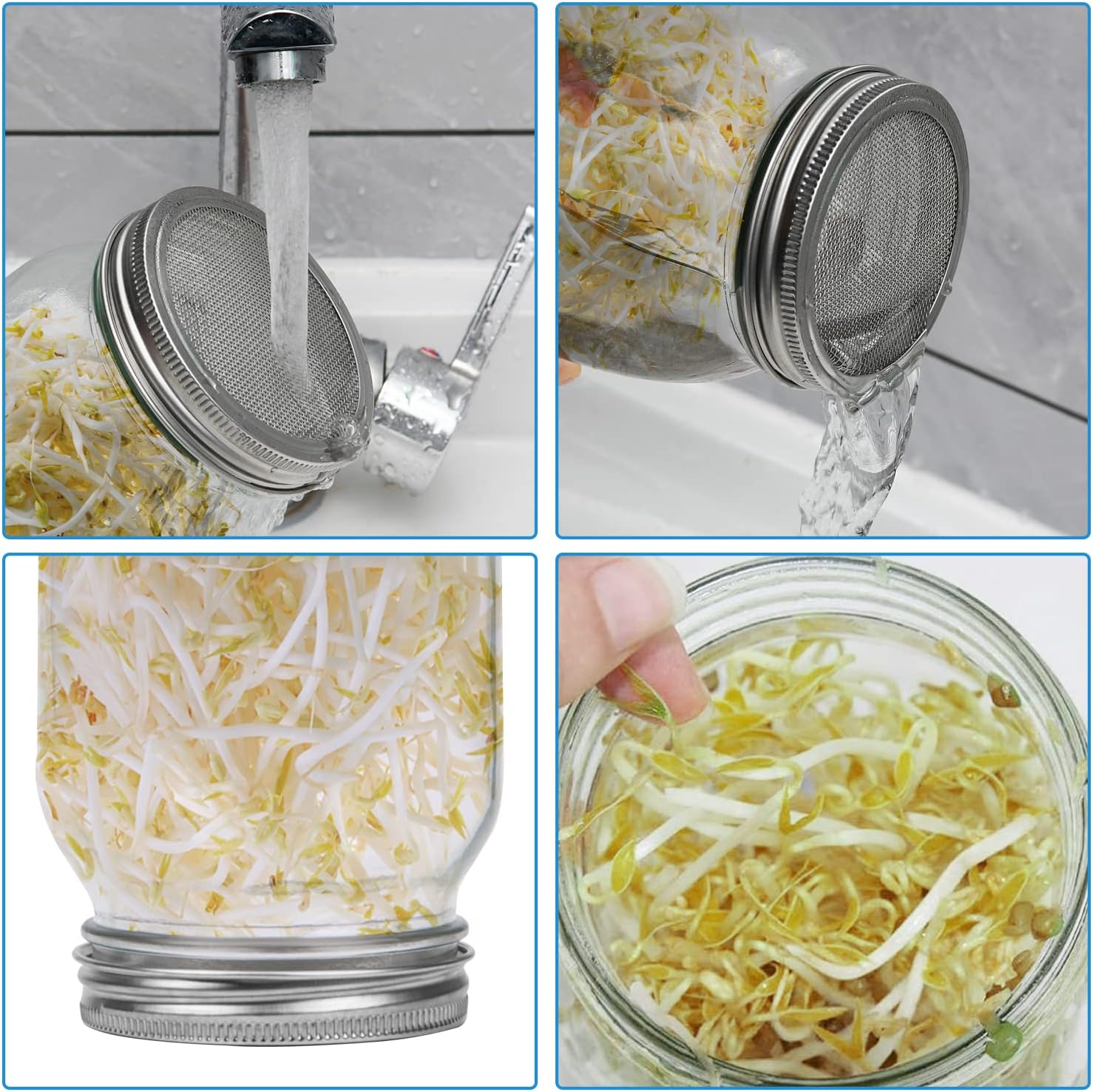 Thumbnail 3 de Hisredsun Seed Sprouting Jar Kit 1000ml 🌱
