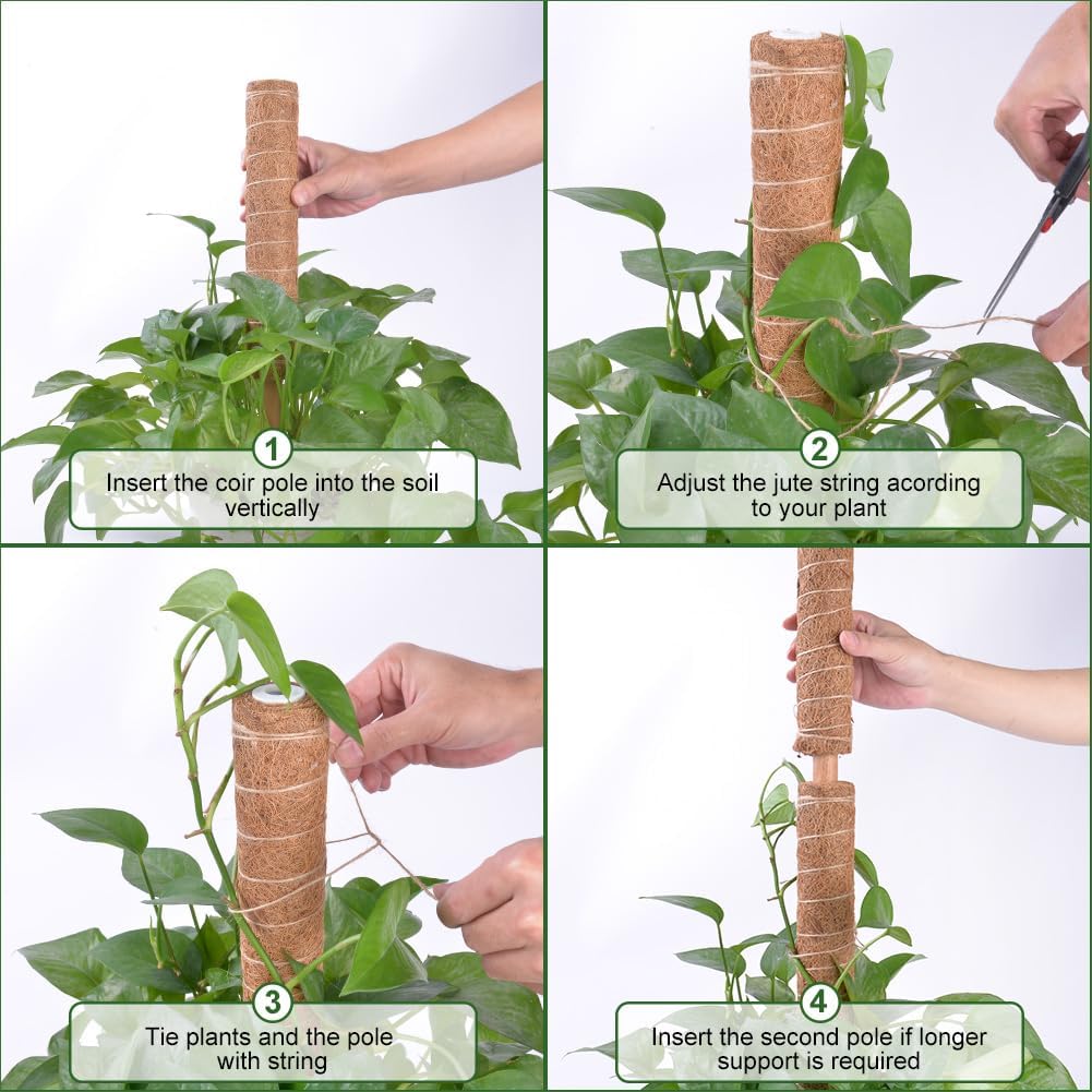 Thumbnail 5 de Vicloon Moss Pole 30cm Pack of 4