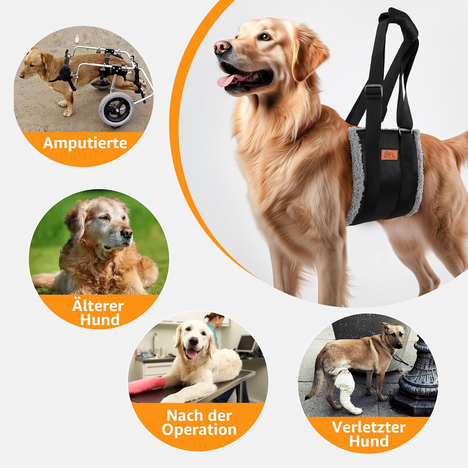 Thumbnail 6 de Verstellbare Hunde-Tragehilfe – flexible Geh- und Rehabilitationshilfe für Hunde jeder Größe