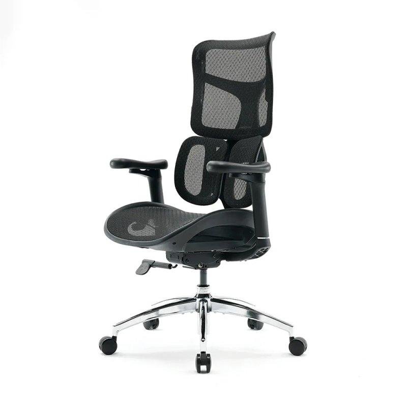 Detalle de Silla Ergonómica Sihoo Doro S100: soporte lumbar doble y ajuste total para largas jornadas