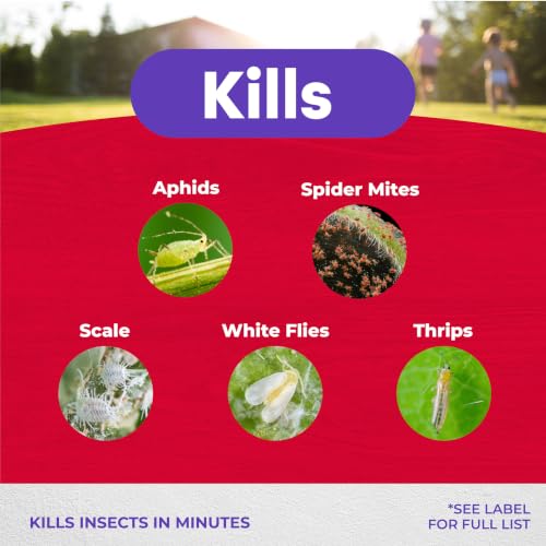 Detalle de Bonide Insecticidal Soap, 32 oz Ready-to-Use Spray for Organic Gardening