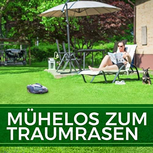 Thumbnail 4 de NatureFlow Roboter Rasensamen Schnellkeimend 1kg – Sommer, Made in Germany