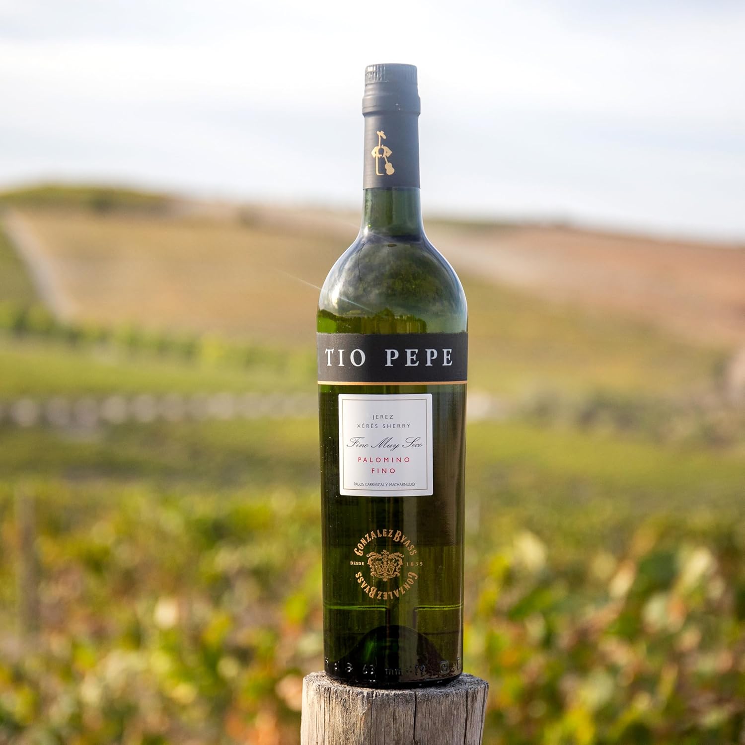 Detalle de Tío Pepe Vino Fino D.O. Jerez 🍷 1000 ml