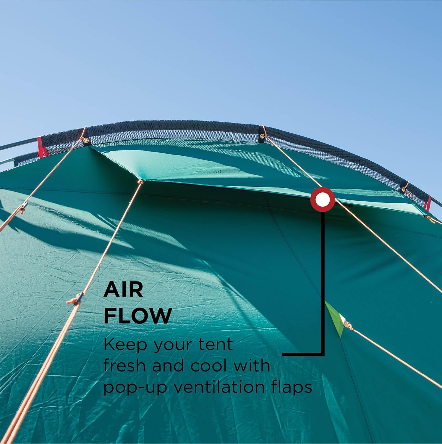 Thumbnail 3 de Coleman Oak Canyon 4 BlackOut Tent: 4-Person Family Tunnel with Darkened Bedrooms