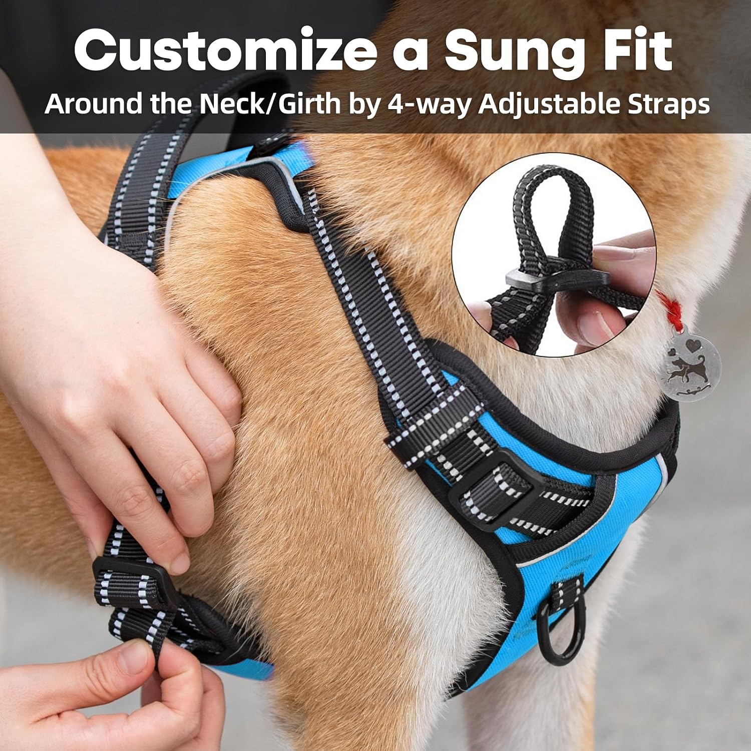 Detalle de PoyPet No Pull Dog Harness, Reflective Vest with 2 Leash Attachments and Easy Control Handle (Blue, S)