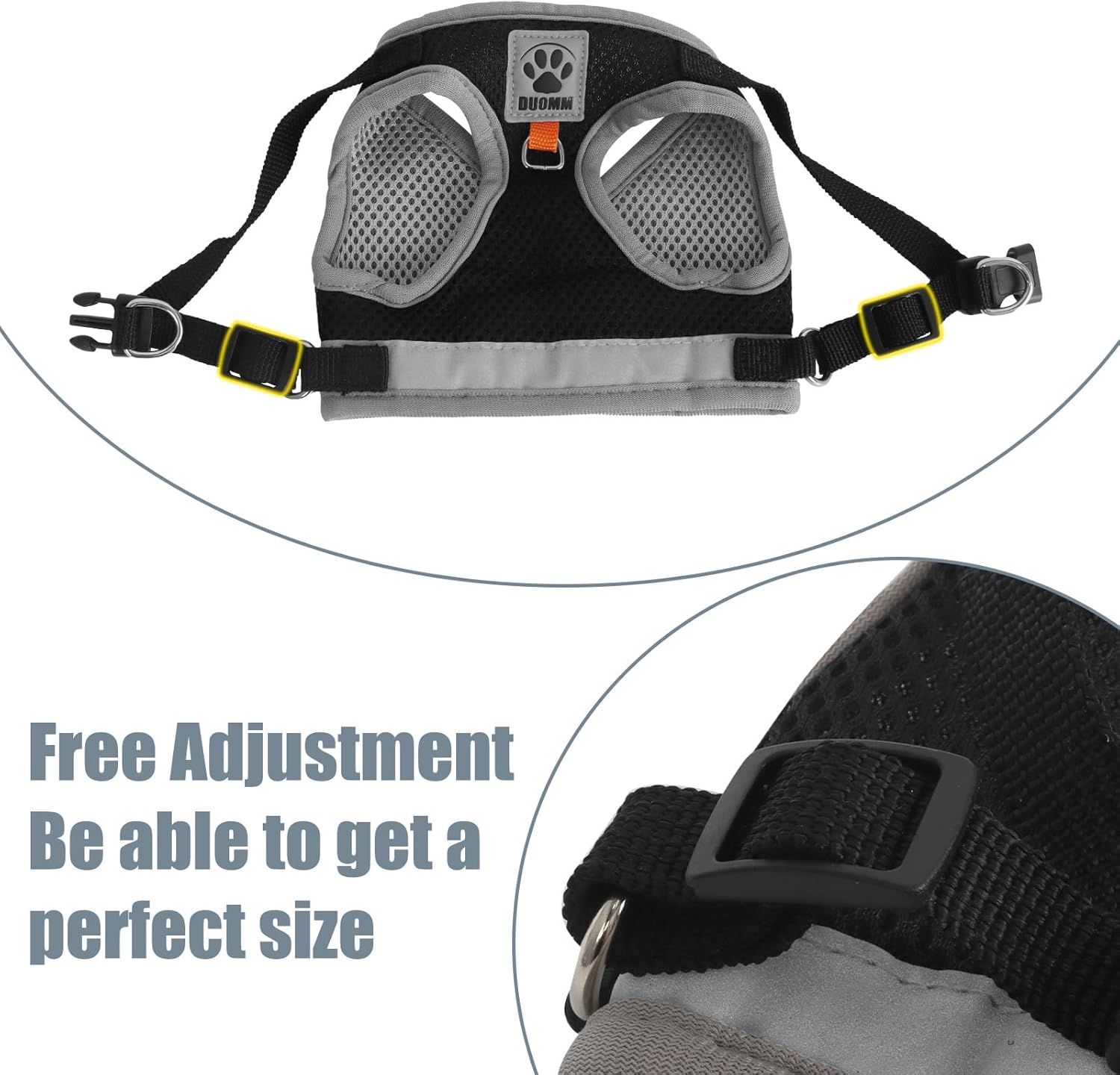 Thumbnail 4 de Pettorina Gatto Allungabile S con Guinzaglio 🐾