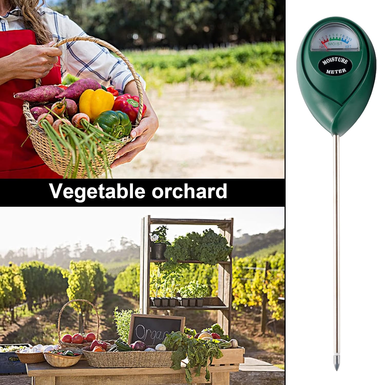 Detalle de Rngeo 2-Pack Soil Moisture Meter with 7-inch Probe and Colour-Coded Dial