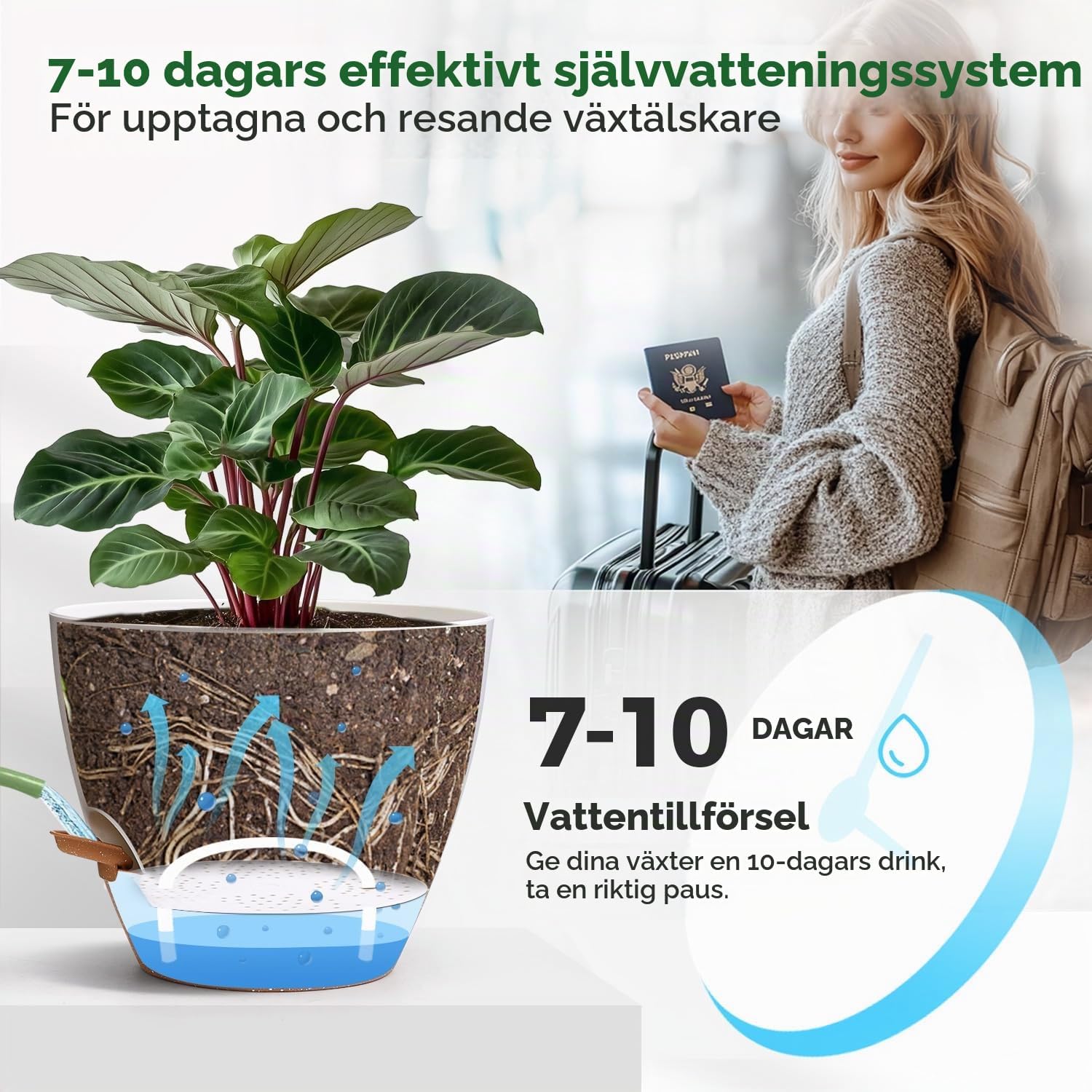 Detalle de T4U självvattnande blomkrukor, 4-pack med vattennivåfönster och fat