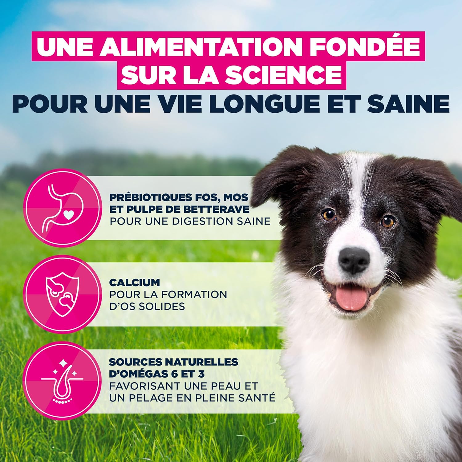 Thumbnail 3 de EUKANUBA Life Care Croquettes Chiots Moyenne Race 1 à 12 mois – Poulet frais, DHA, Calcium et Oméga 3&6, 3 kg