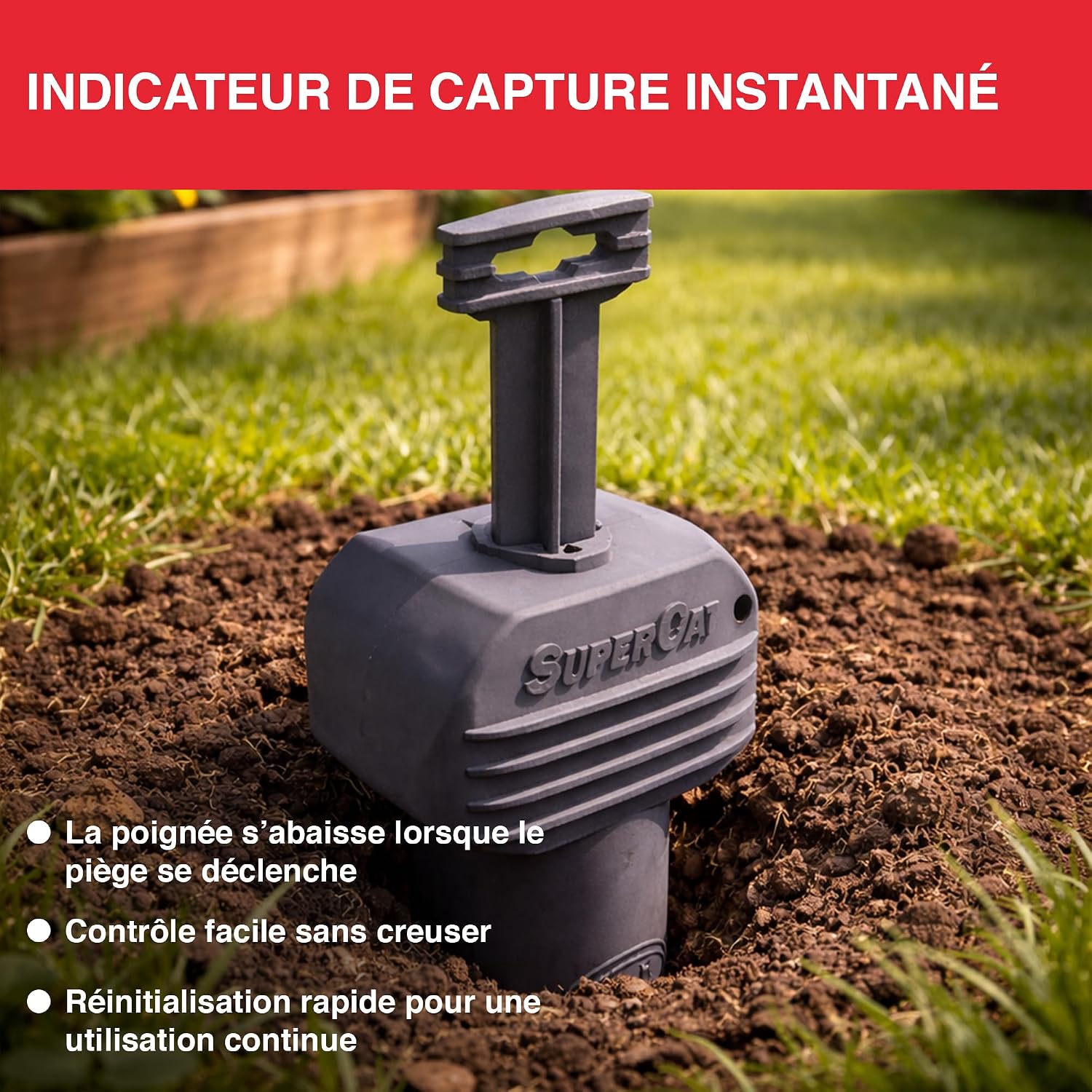 Thumbnail 4 de SWISSINNO Piège à campagnols Pro SuperCat – Piège efficace pour rats des champs et campagnols (2 pièces)