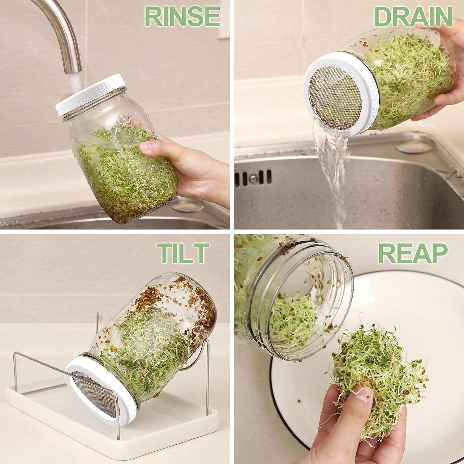 Detalle 2 de Sprouting Jar Kit, 2 × 32 oz