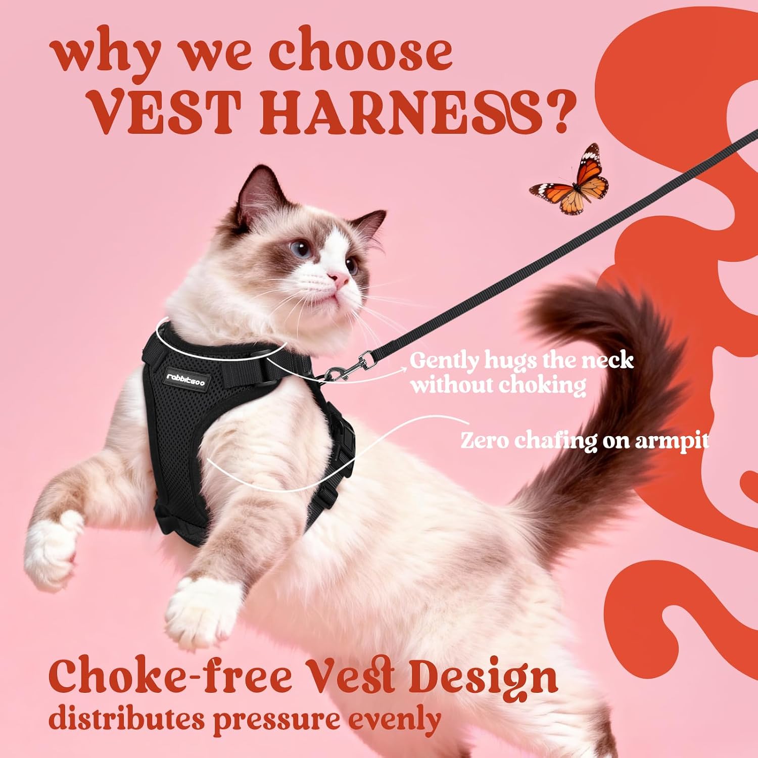 Thumbnail 2 de Rabbitgoo Cat Harness and Lead Set M