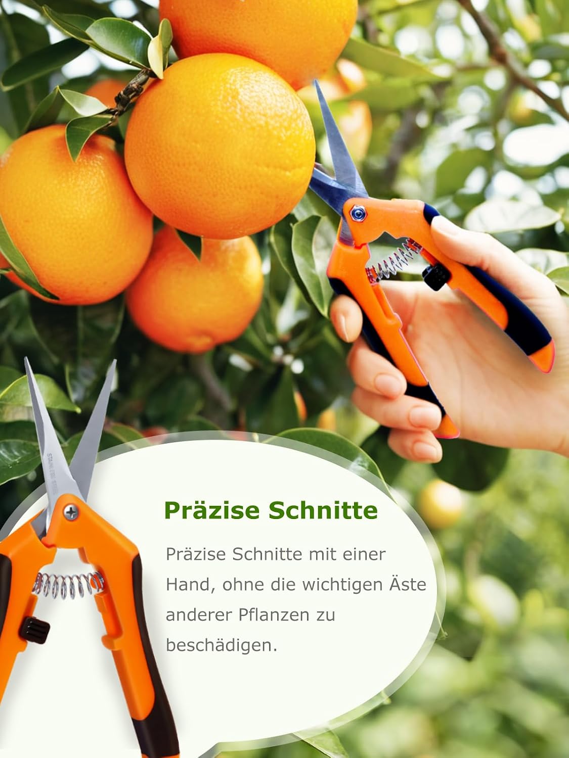 Thumbnail 4 de Linkgood Klein Gartenschere 16,5 cm