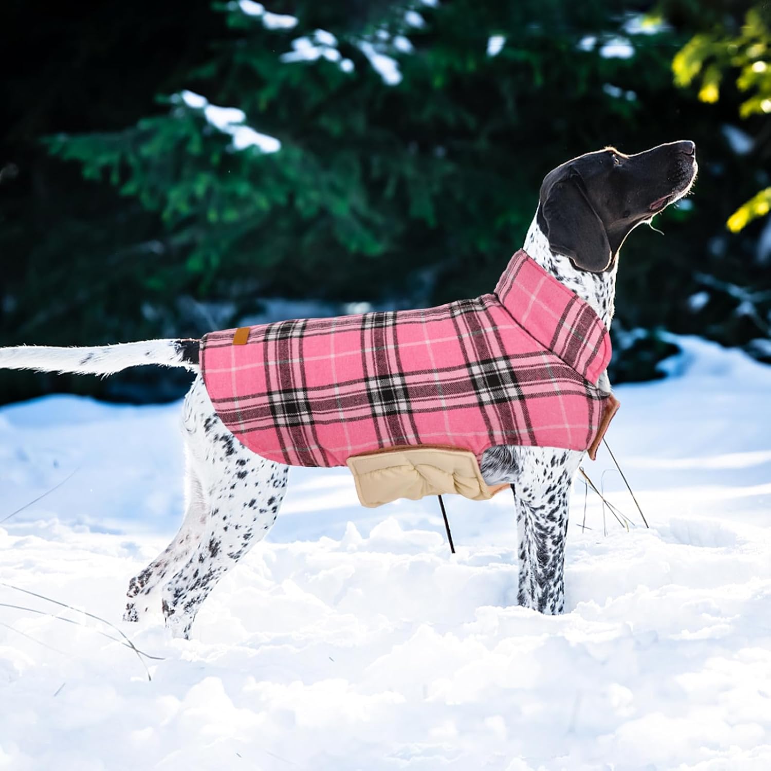 Thumbnail 6 de Kuoser Dog Coat 2XL