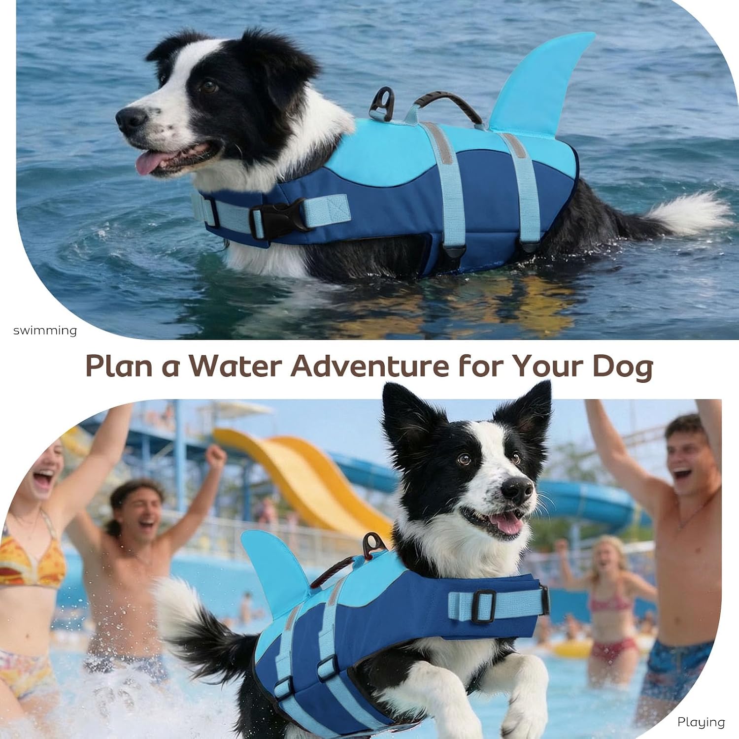 Detalle 2 de CITÉTOILE Schwimmweste Hund Hai – verstellbare Rettungsweste mit Griff, Reflektoren und Hai-Design
