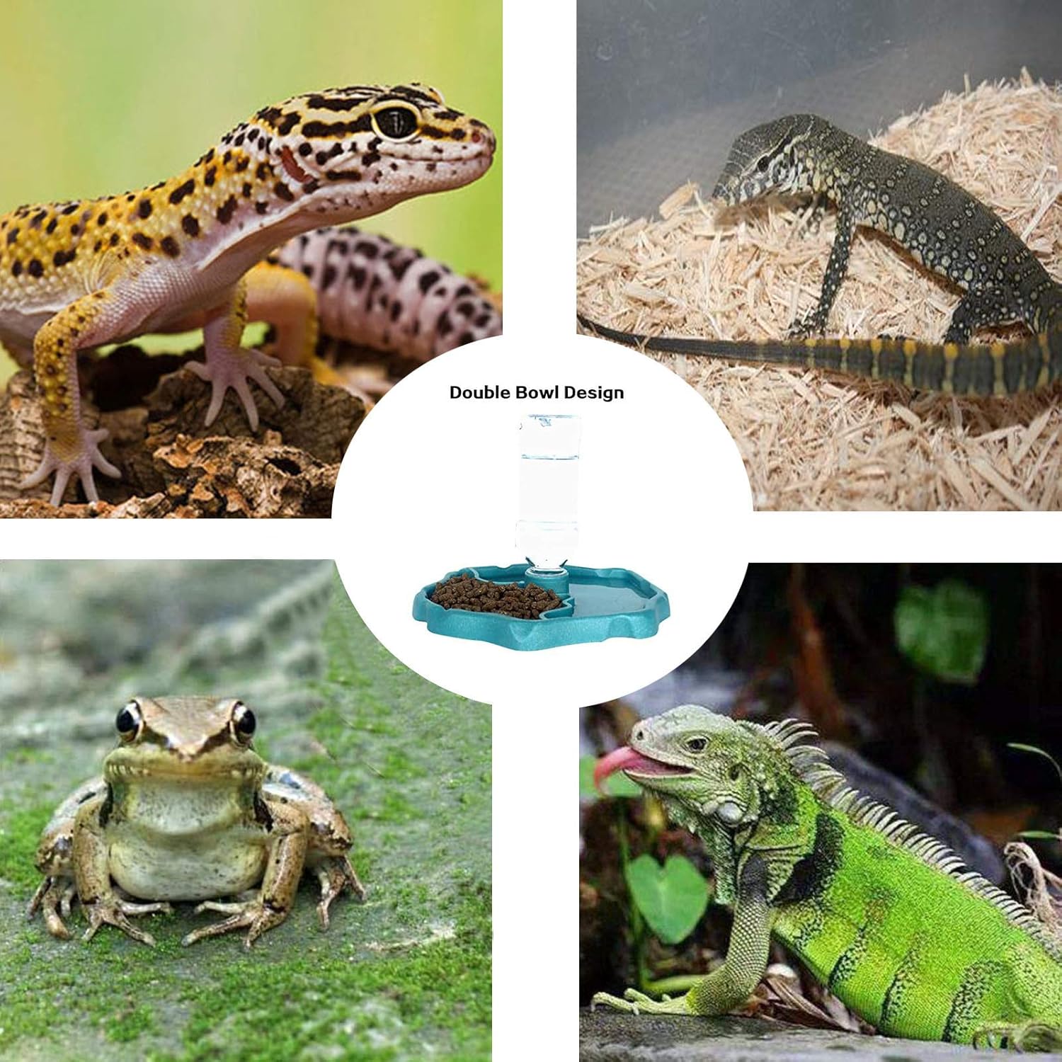 Thumbnail 5 de QIODAZOO Näpfe für Reptilien 200 ml 🐢