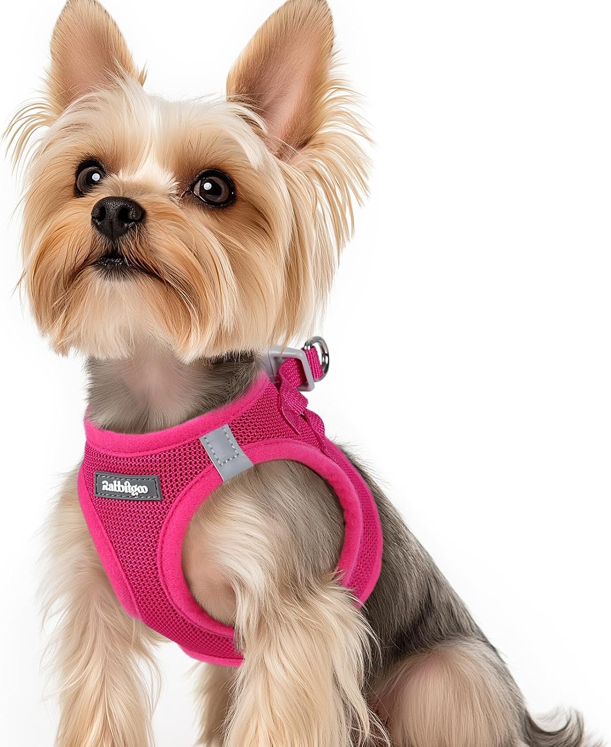 Detalle de rabbitgoo Hundegeschirr für kleine Hunde (XS) – Step-in Welpengeschirr mit weichem Mesh, atmungsaktiv & reflektierend