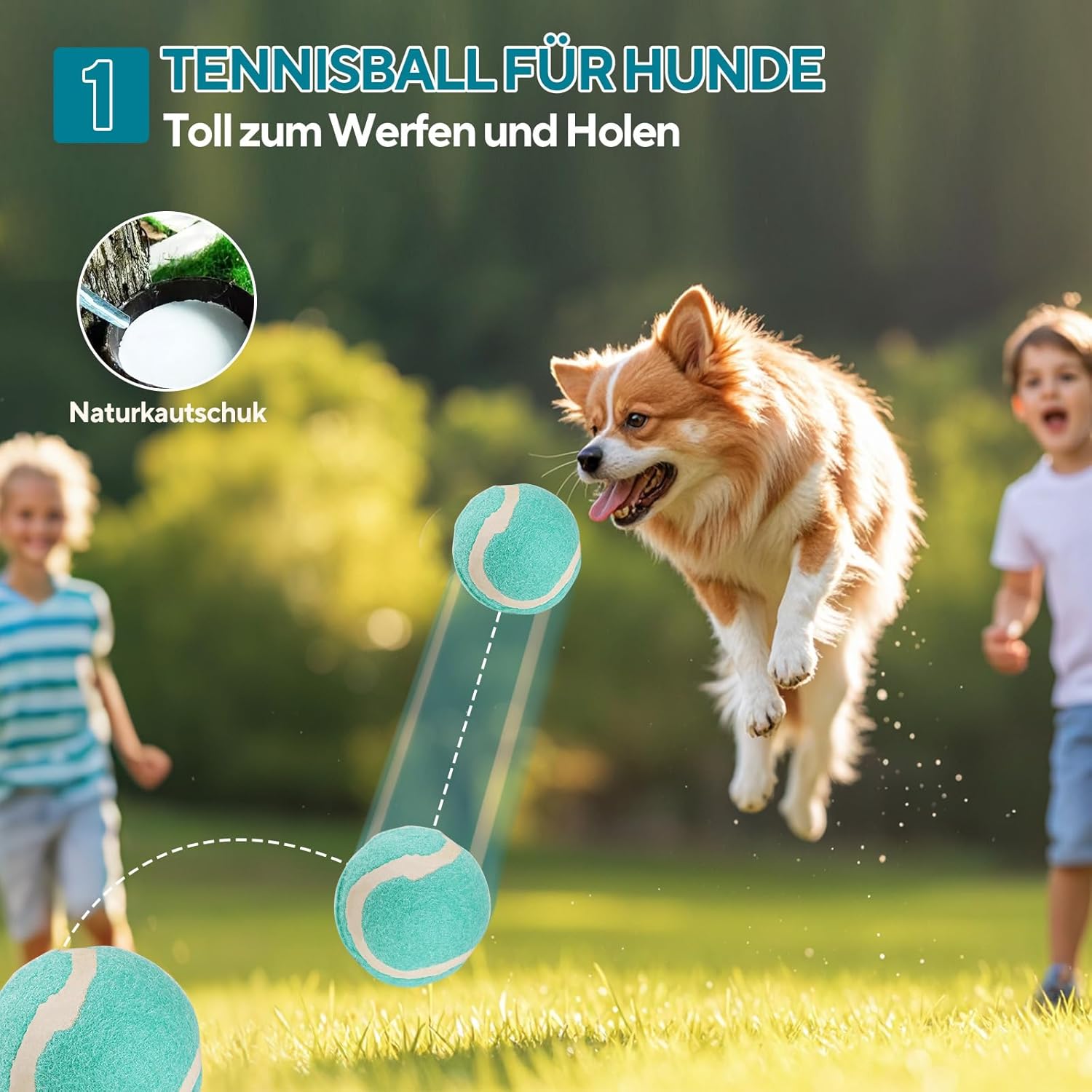 Thumbnail 5 de LIFLIX Lot de 4 Jouets à mâcher pour Chiots – Forme chouette, os et ruche