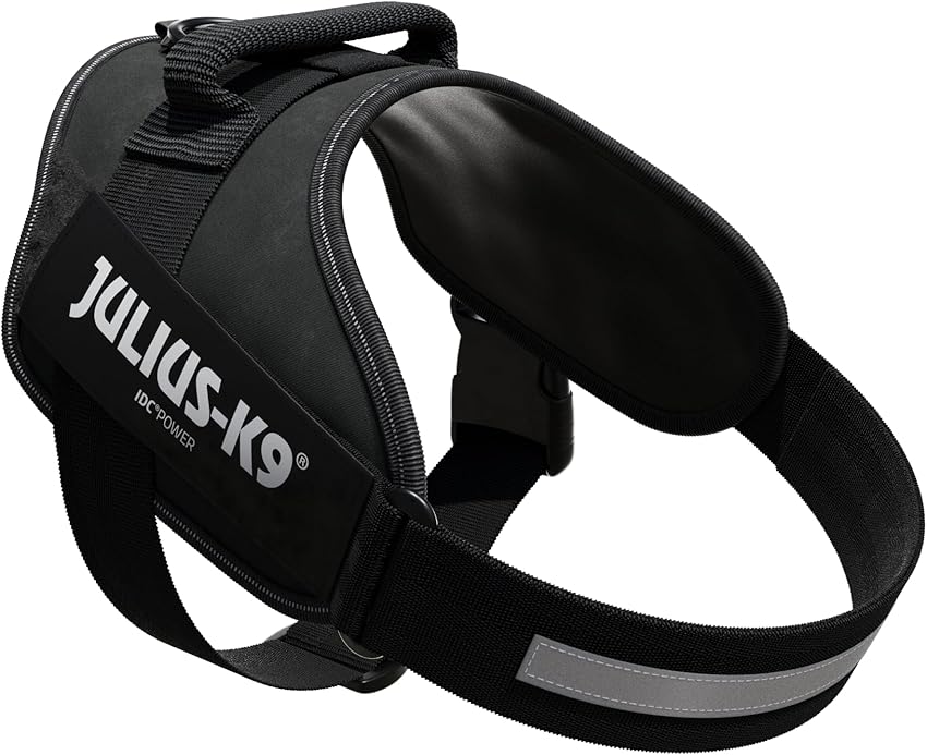 Detalle de JULIUS-K9 16IDC Power Harness 💪 Reflexión y Calidad