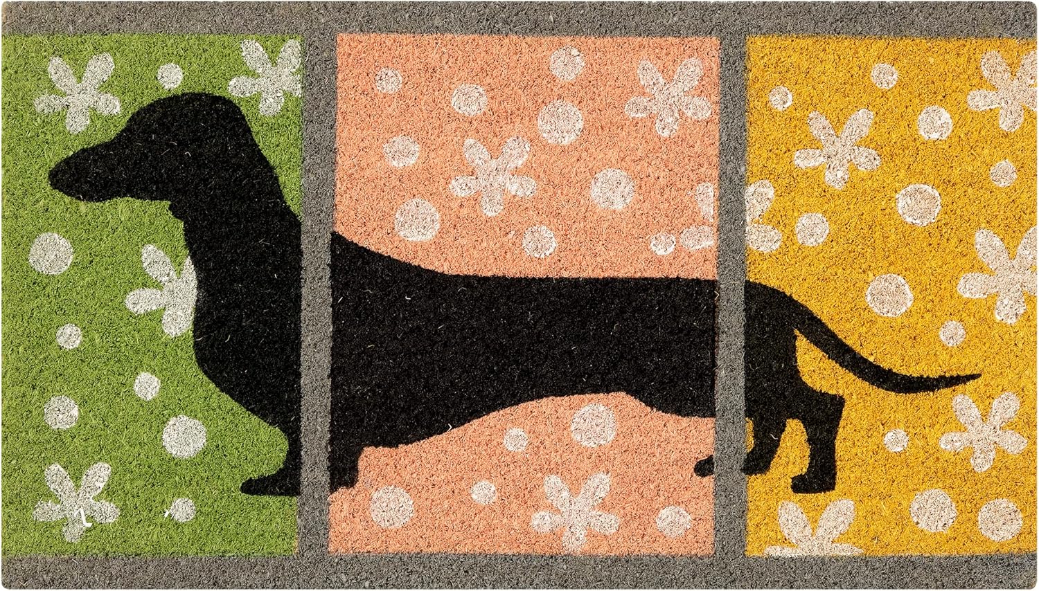 Thumbnail 4 de Baroni Home zerbino da ingresso in cocco dipinto a mano Bassotto a righe, 70x40 cm