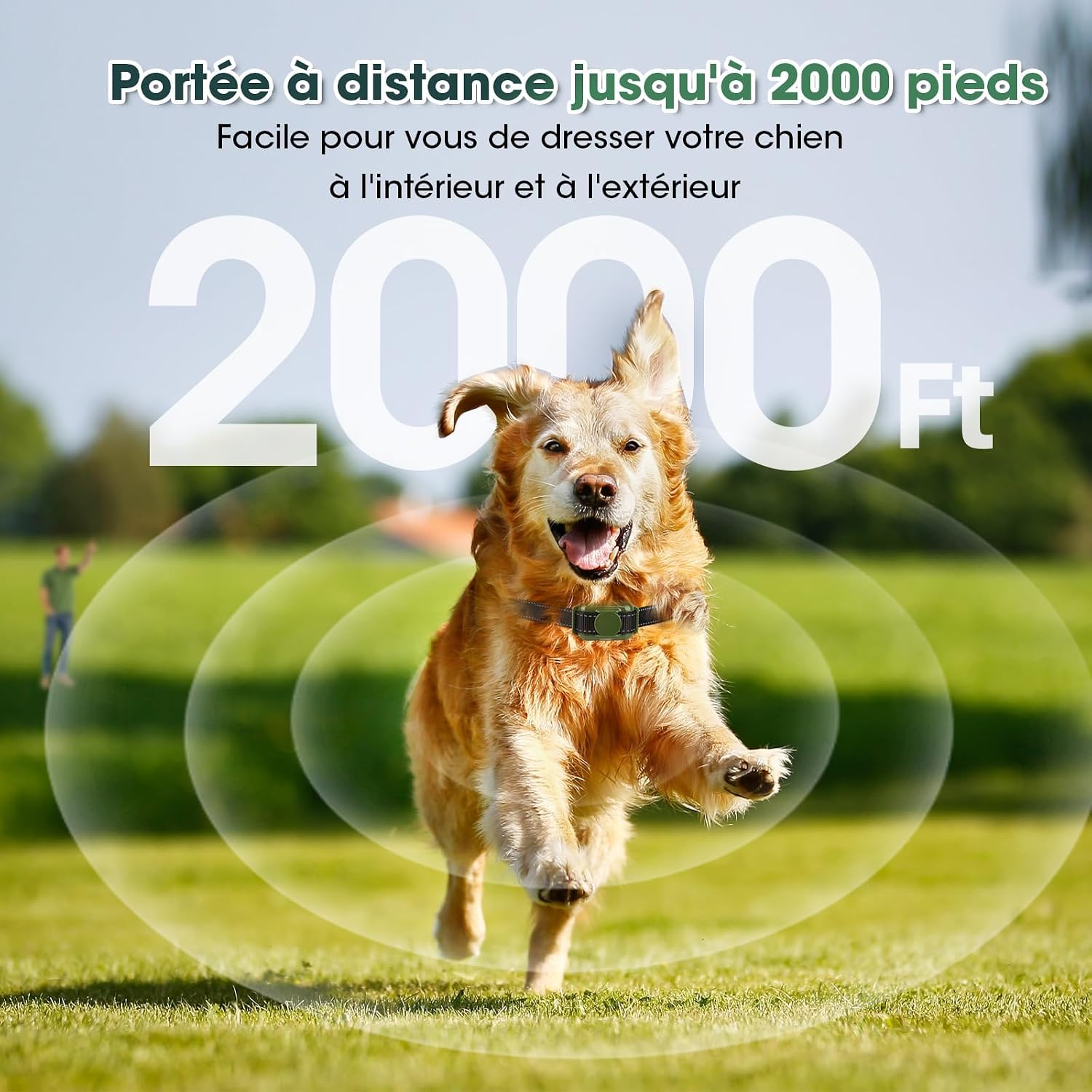 Detalle 2 de Collier de Dressage pour Chien – Électrique, Télécommande, Portée 2000 ft, 4 Modes, IPX7