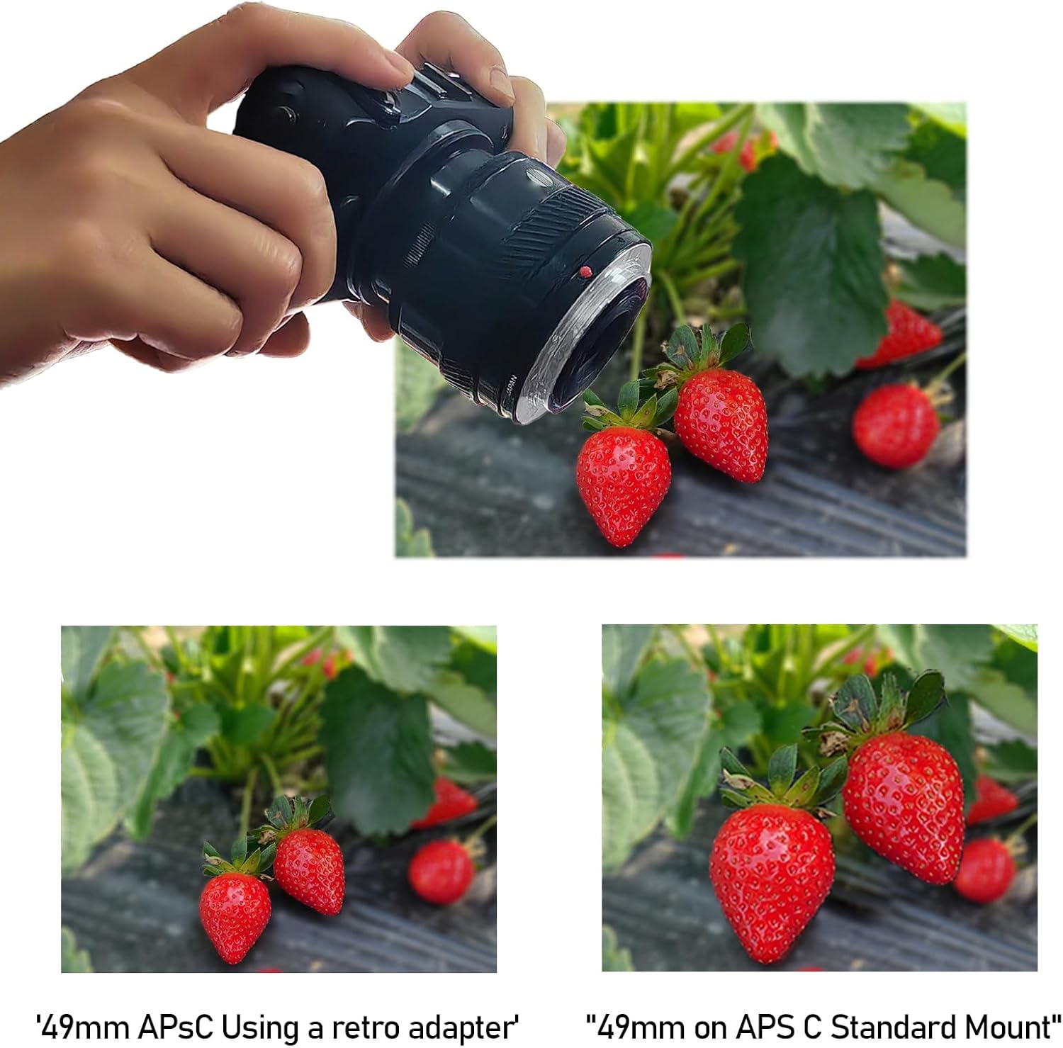 Thumbnail 6 de AMOPOFO 49mm Macro Reverse Mount Adapter Ring for Nikon DSLRs