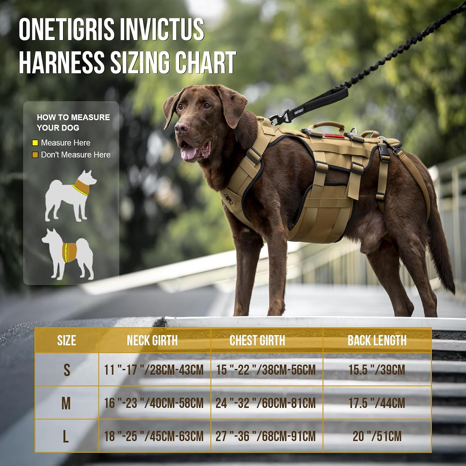 Detalle 2 de OneTigris Dog Lift Harness for Large Dogs: Practical Mobility Support for Senior or Recovering Pups