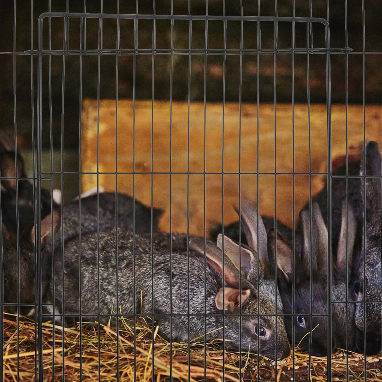 Thumbnail 4 de Milisten Cat Playpen Door Detachable Wire Cage Panel for Small Pets