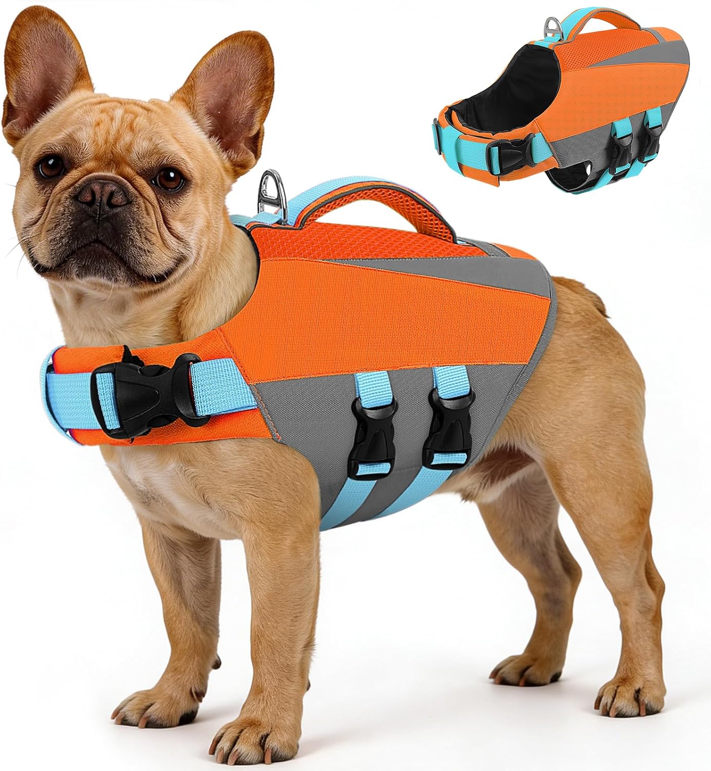 Detalle de Queenmore Dog Life Vest, Size S