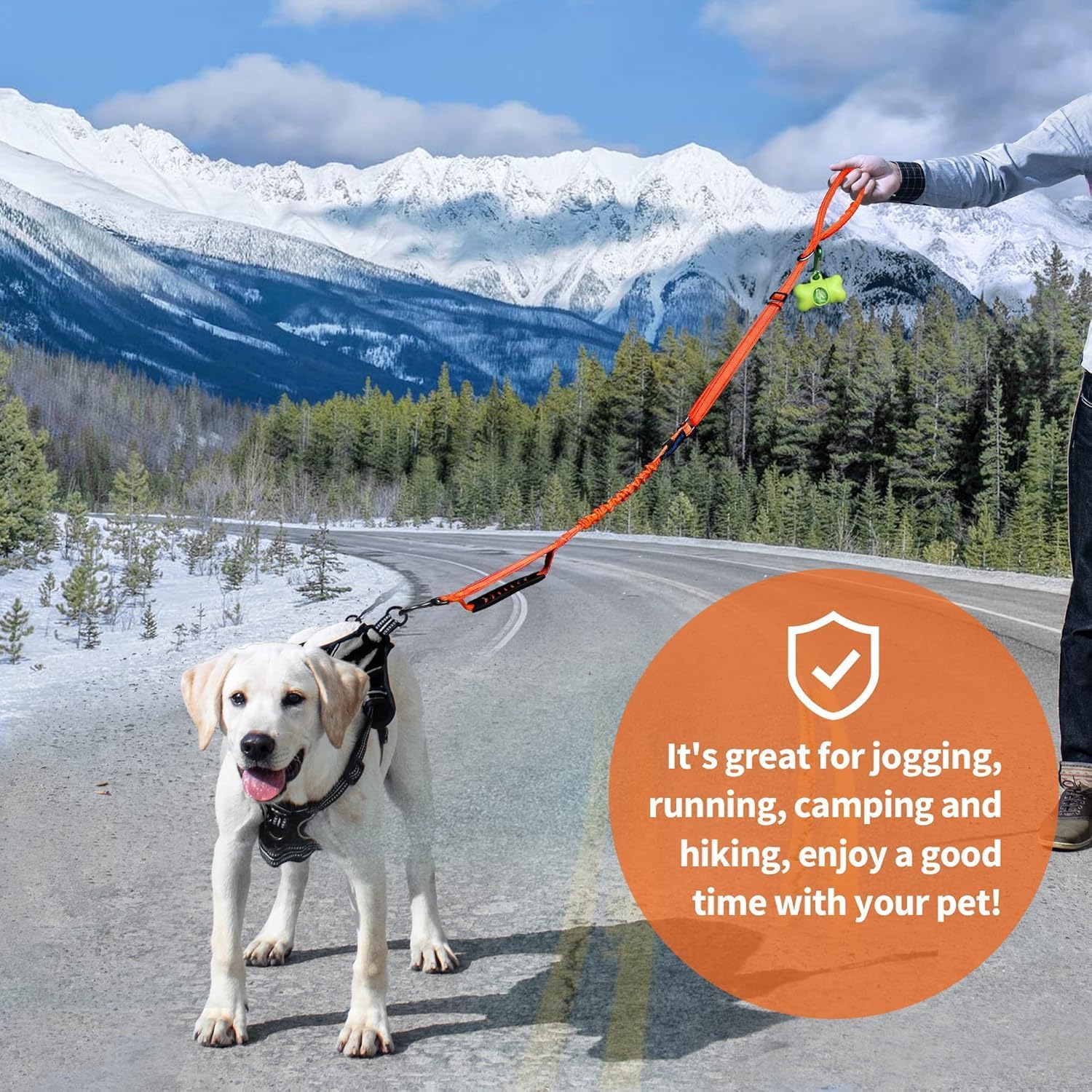 Detalle de IOKHEIRA Bungee Dog Leash: Anti-Pull, Car Seat Belt Buckle & Reflective Safety