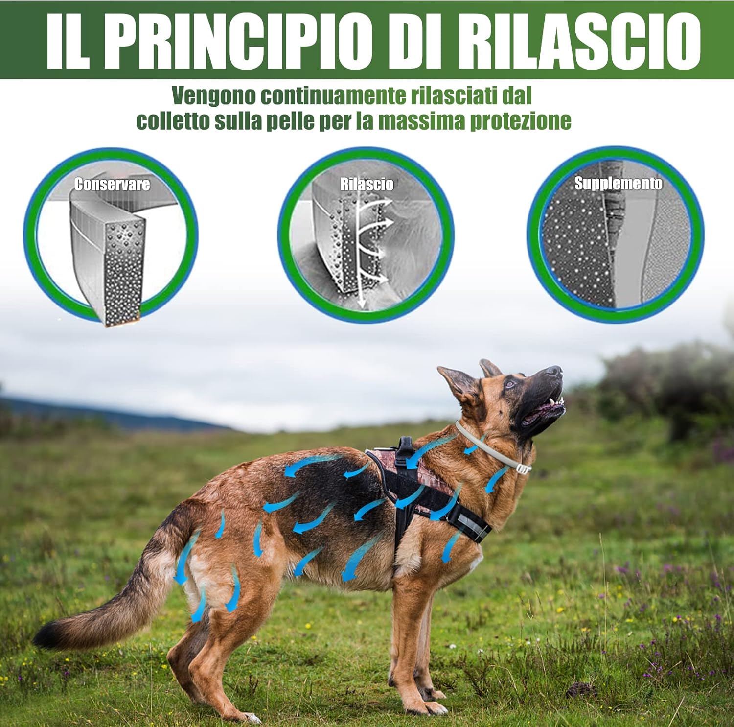 Thumbnail 4 de Collare antipulci e zecche regolabile 63 cm, 8 mesi di protezione